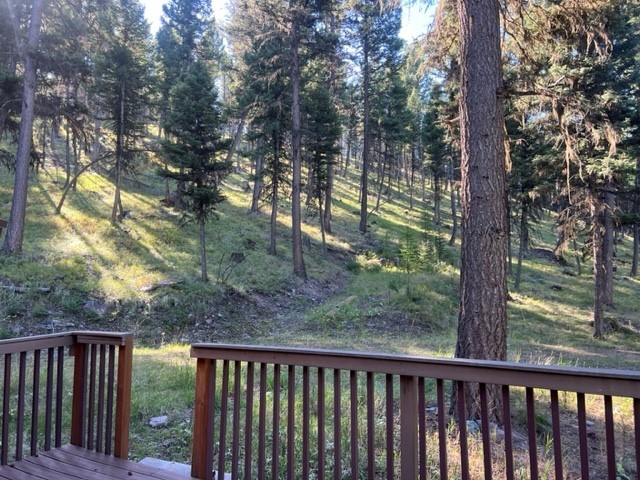 1250 Bitterroot Drive Property Photo 18