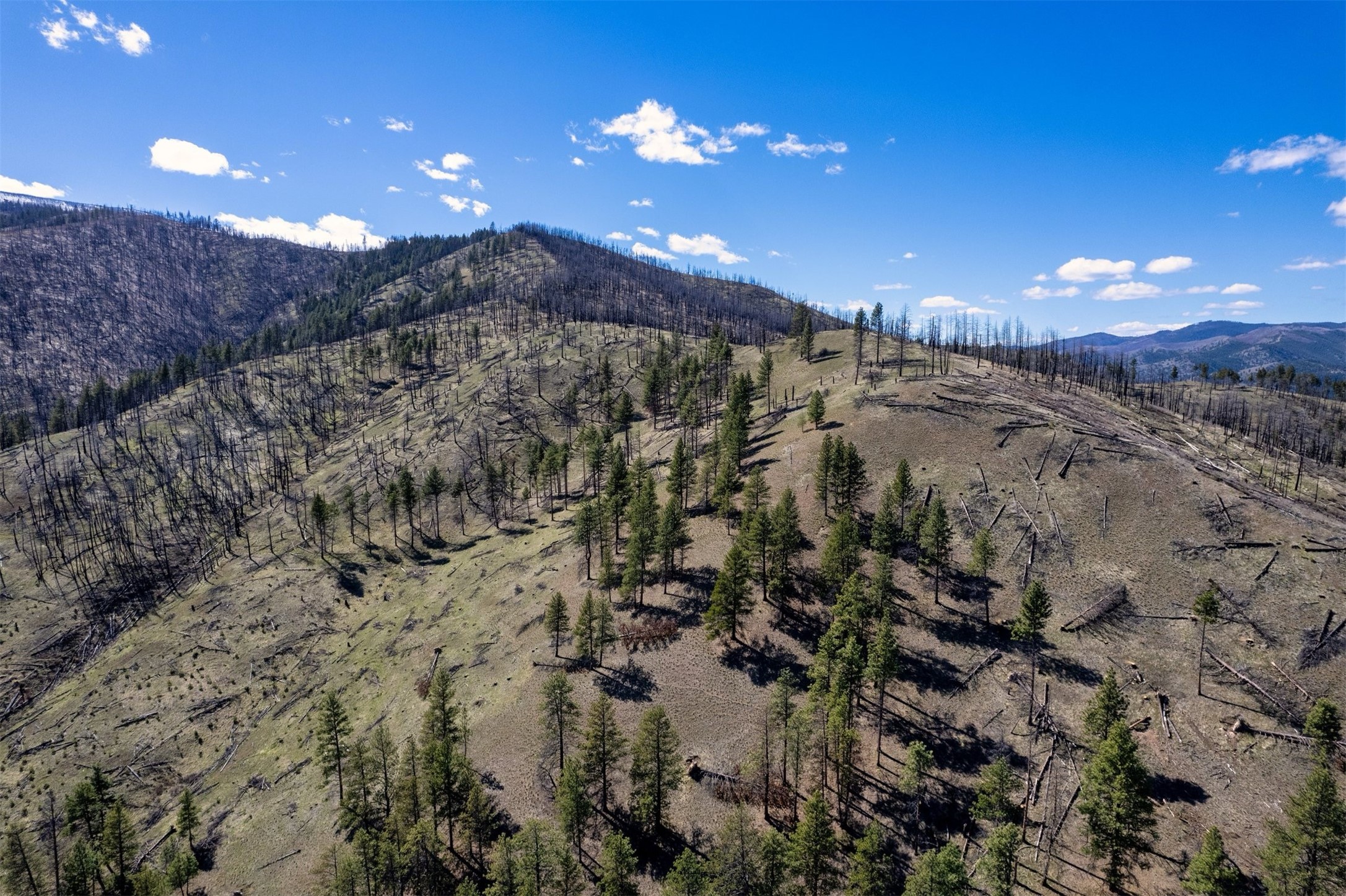 15100 Rock Ridge Road Property Photo 22
