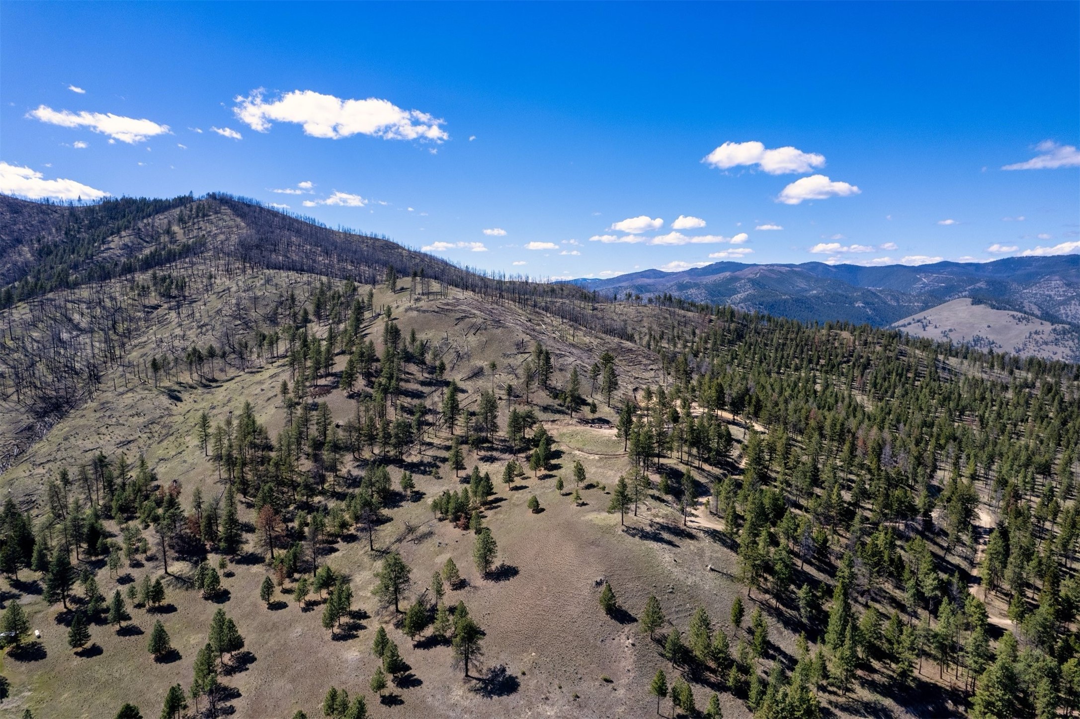 15100 Rock Ridge Road Property Photo 24