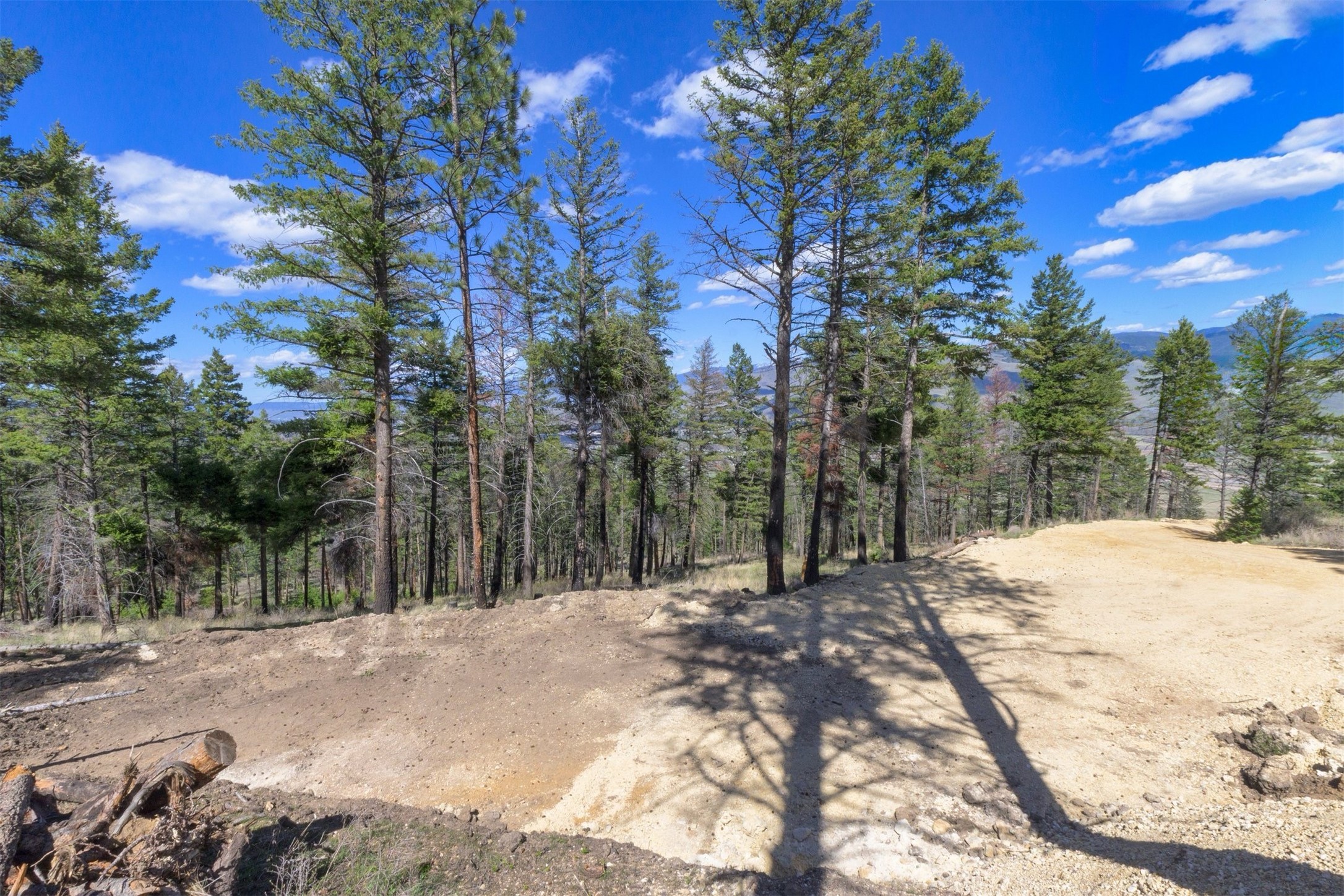 15100 Rock Ridge Road Property Photo 36