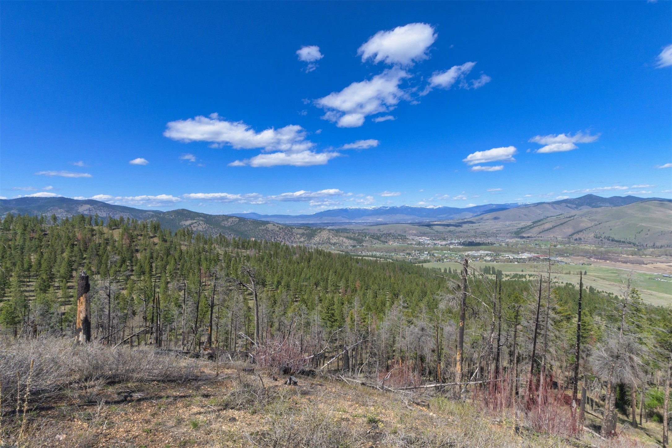 15100 Rock Ridge Road Property Photo 41