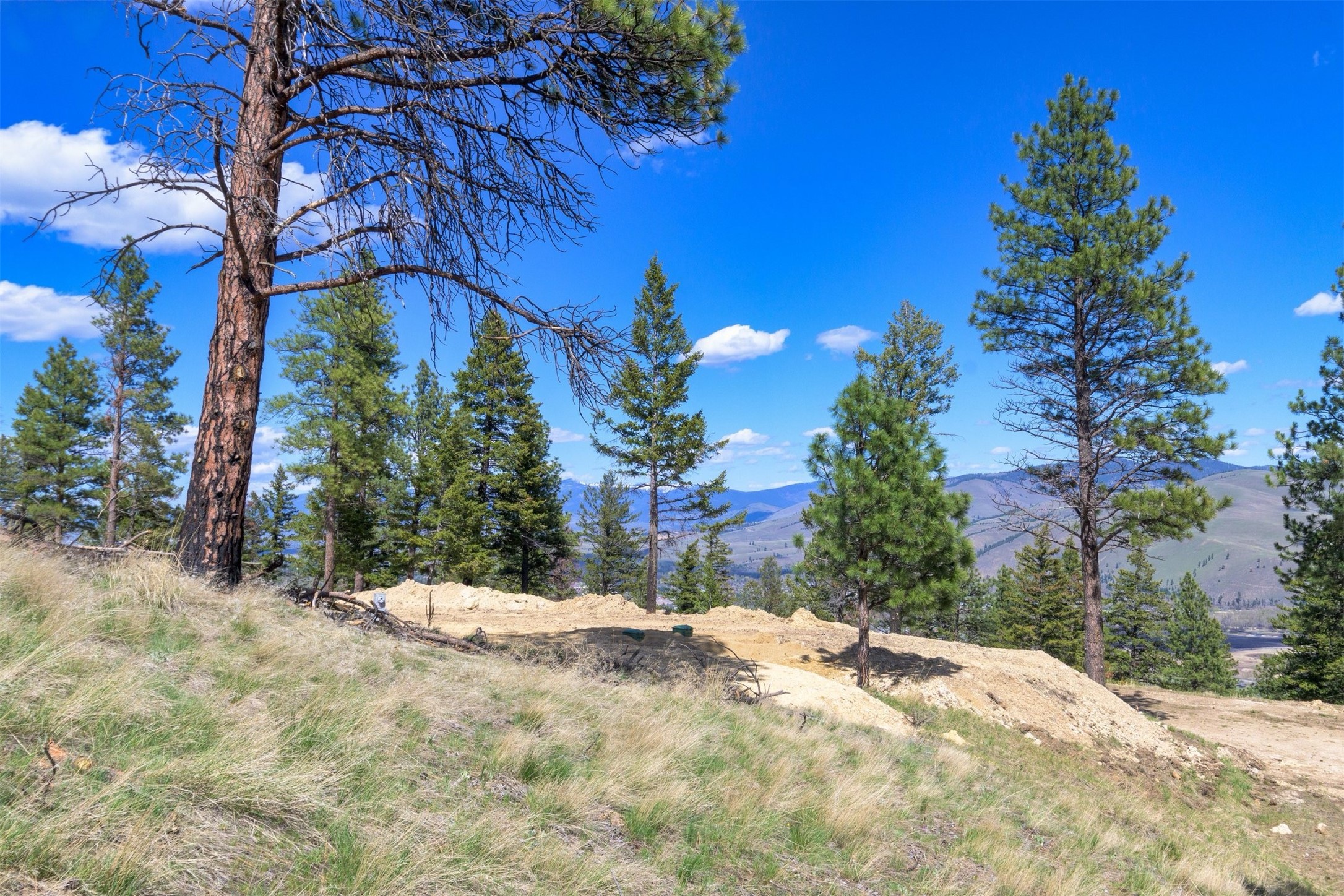 15100 Rock Ridge Road Property Photo 50