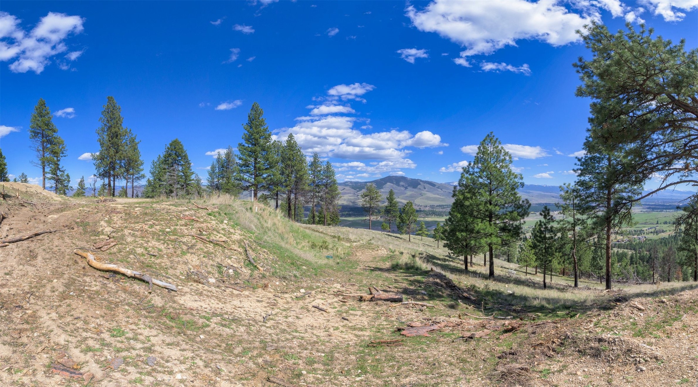 15100 Rock Ridge Road Property Photo 51