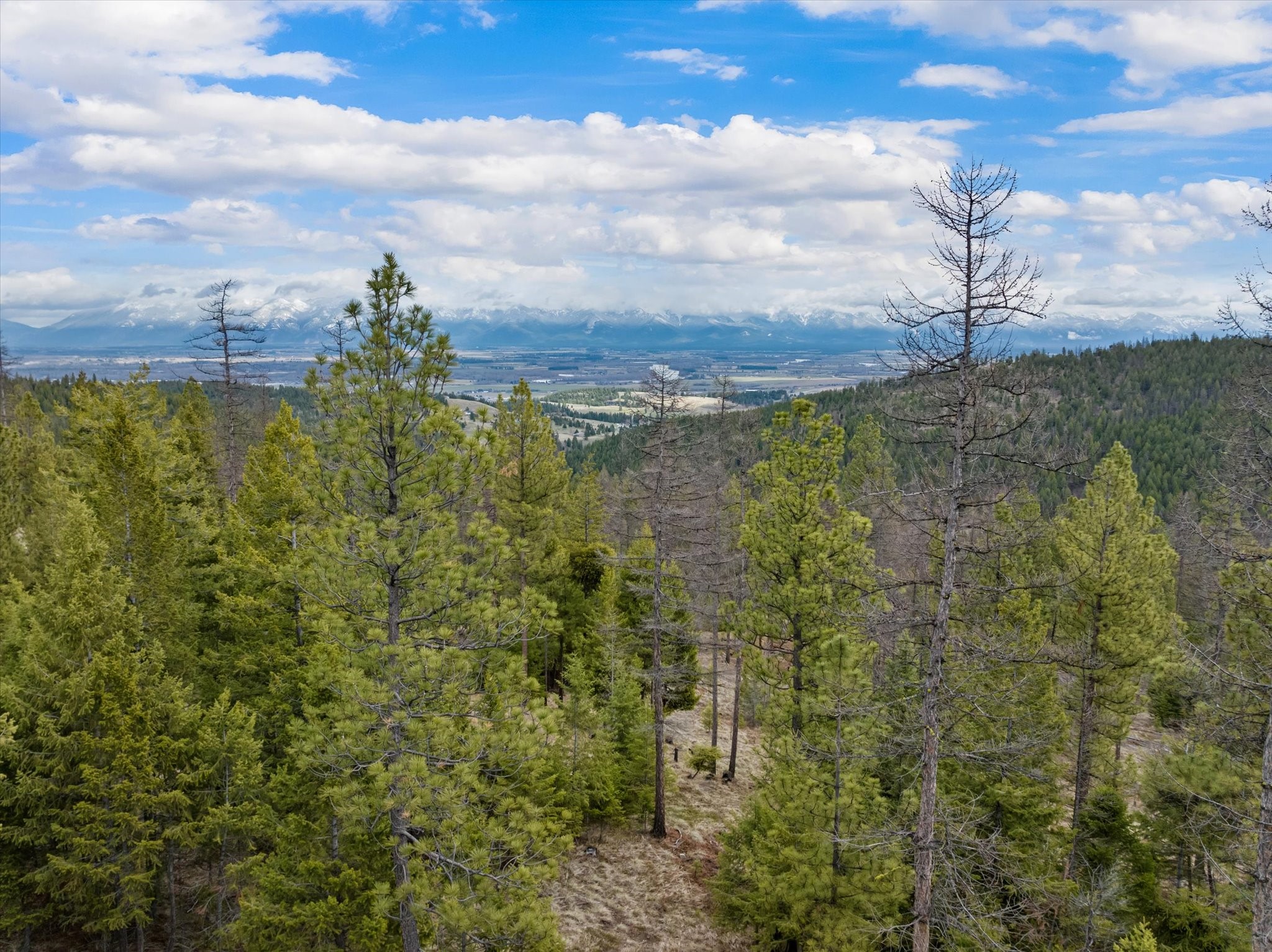 Wapiti Hills Real Estate Listings Main Image