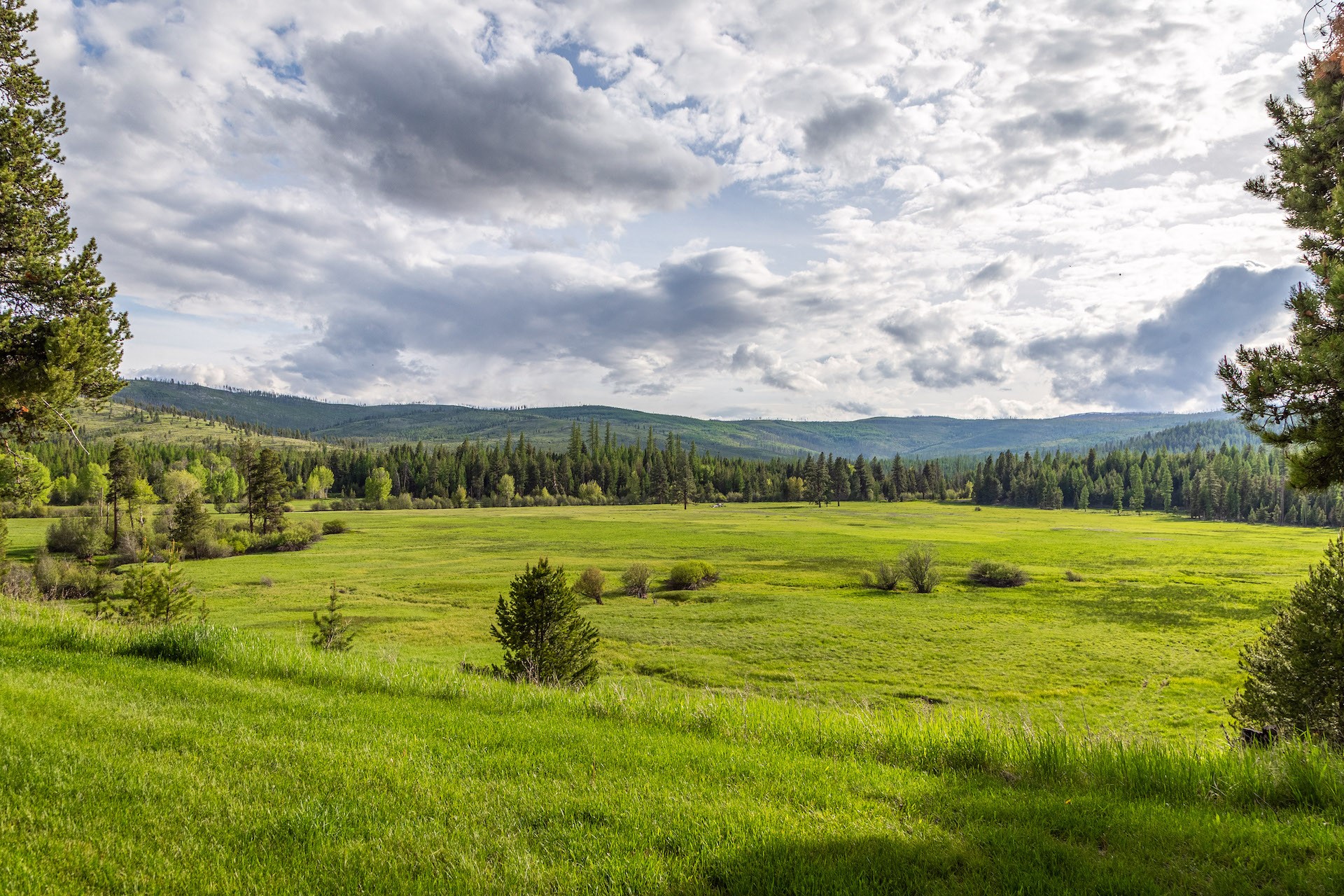 12455 N Placid Lake Road Property Photo 79