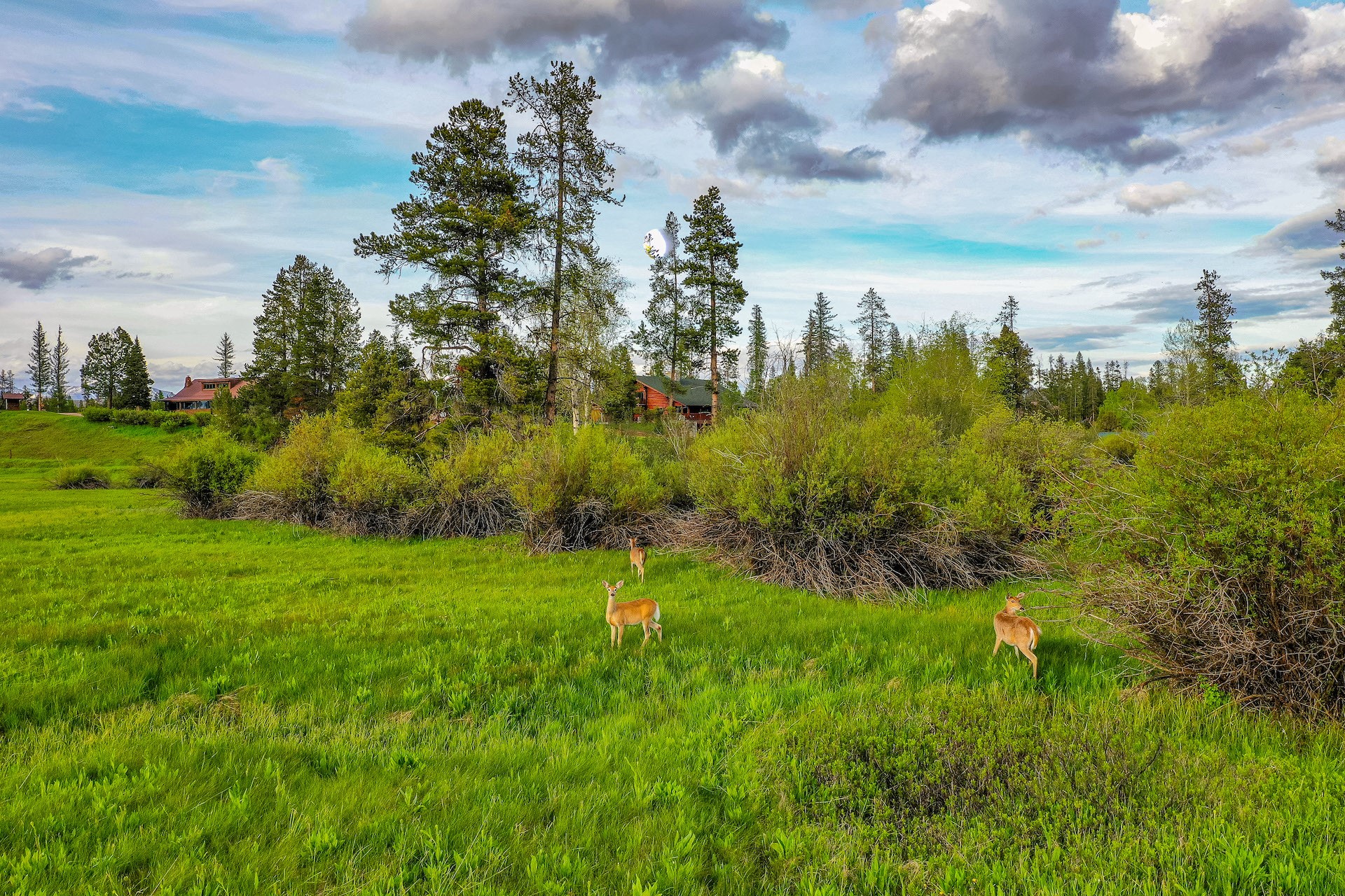 12455 N Placid Lake Road Property Photo 101