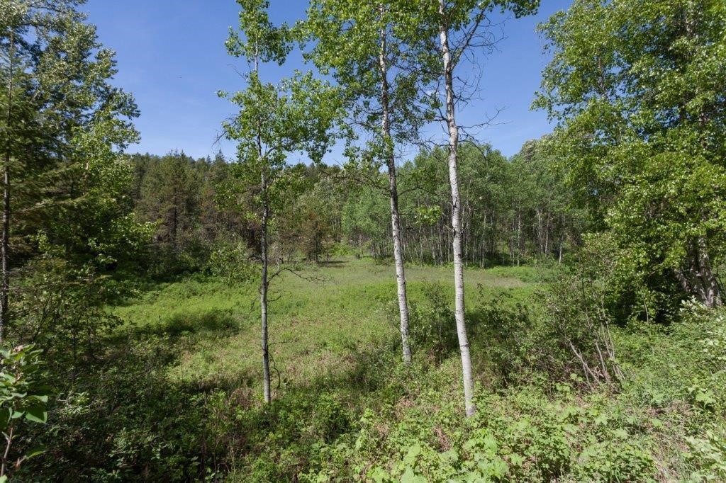 Nhn Belton Stage Property Photo 14
