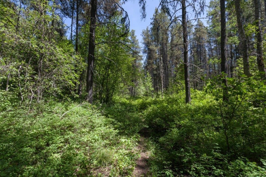Nhn Belton Stage Property Photo 16