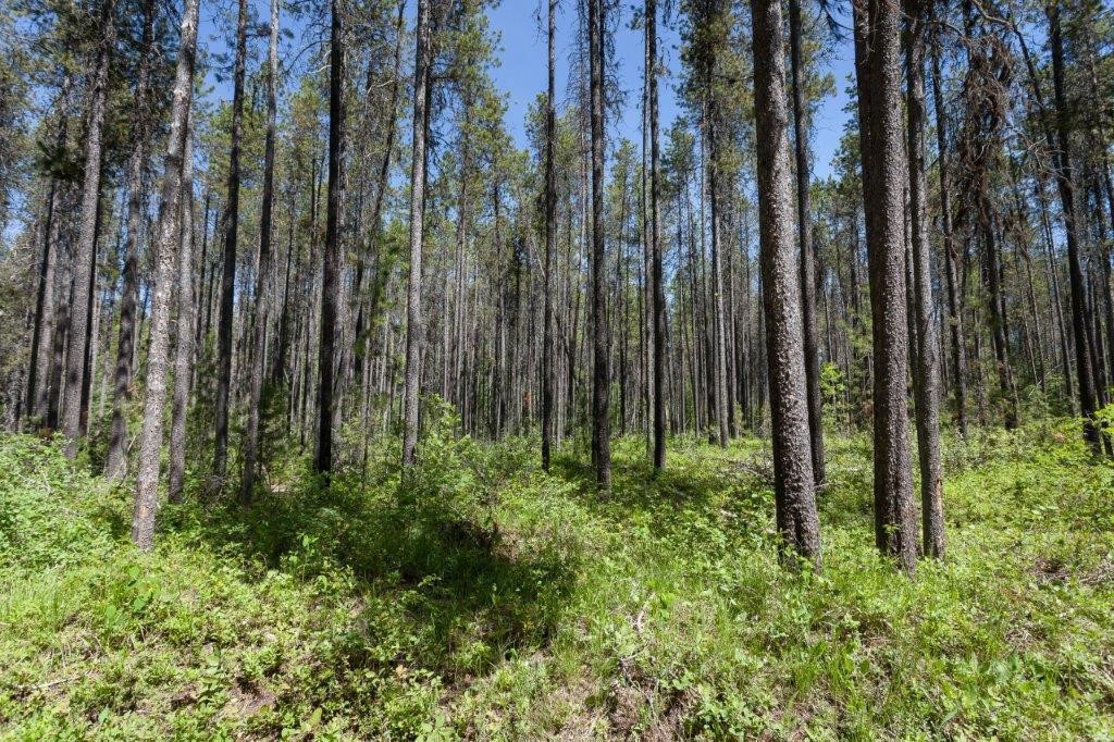 Nhn Belton Stage Property Photo 20