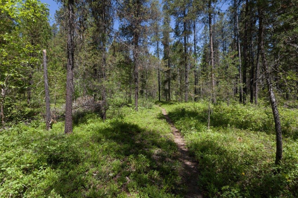 Nhn Belton Stage Property Photo 40