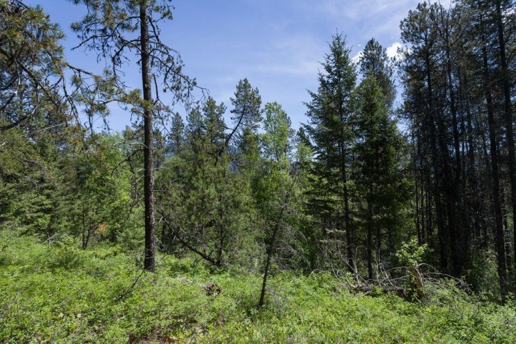 Nhn Belton Stage Property Photo 42