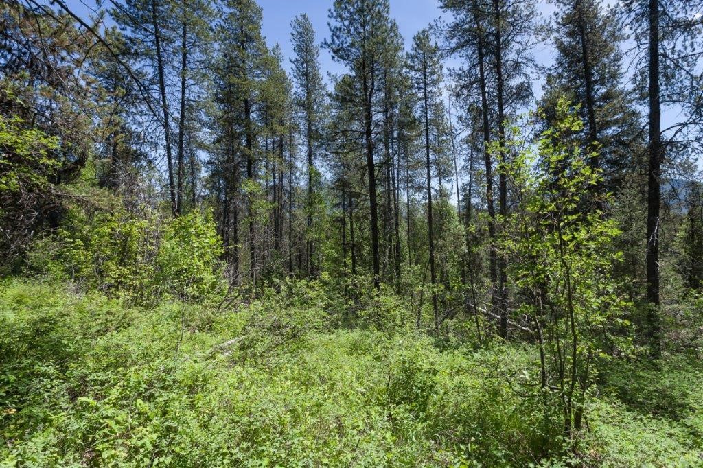 Nhn Belton Stage Property Photo 43