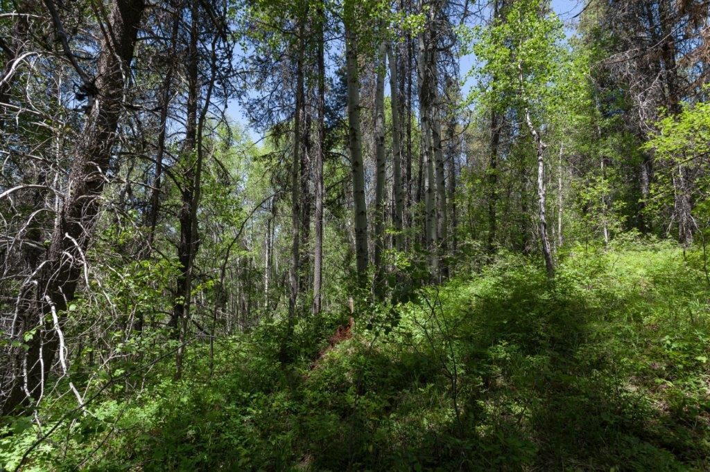 Nhn Belton Stage Property Photo 44