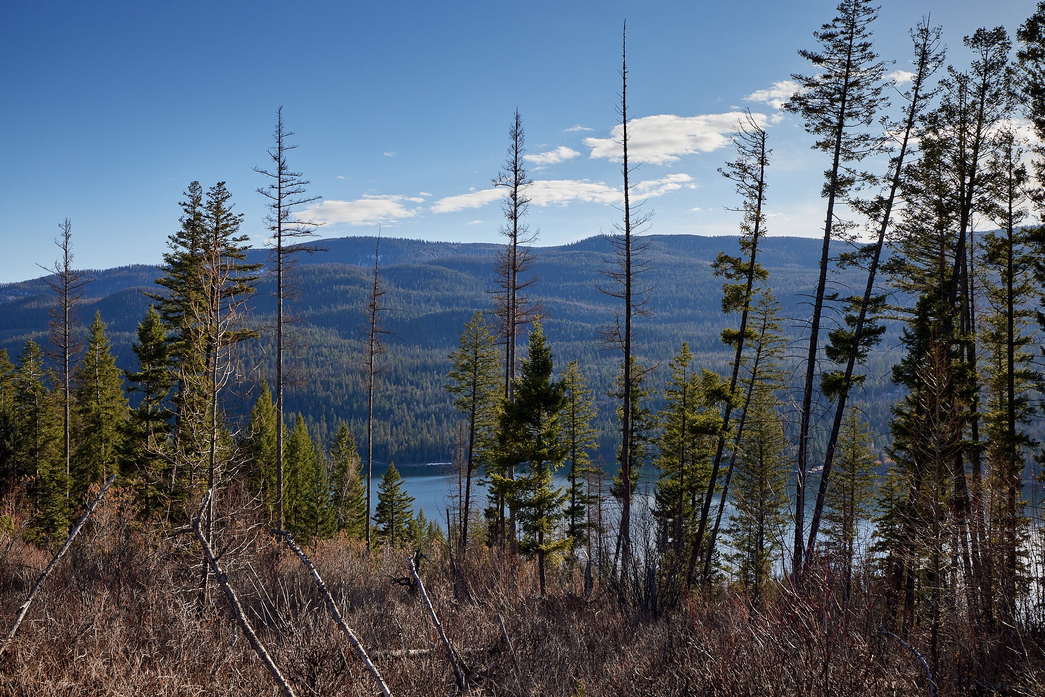 Nhn Swan Lake Overlook Property Photo