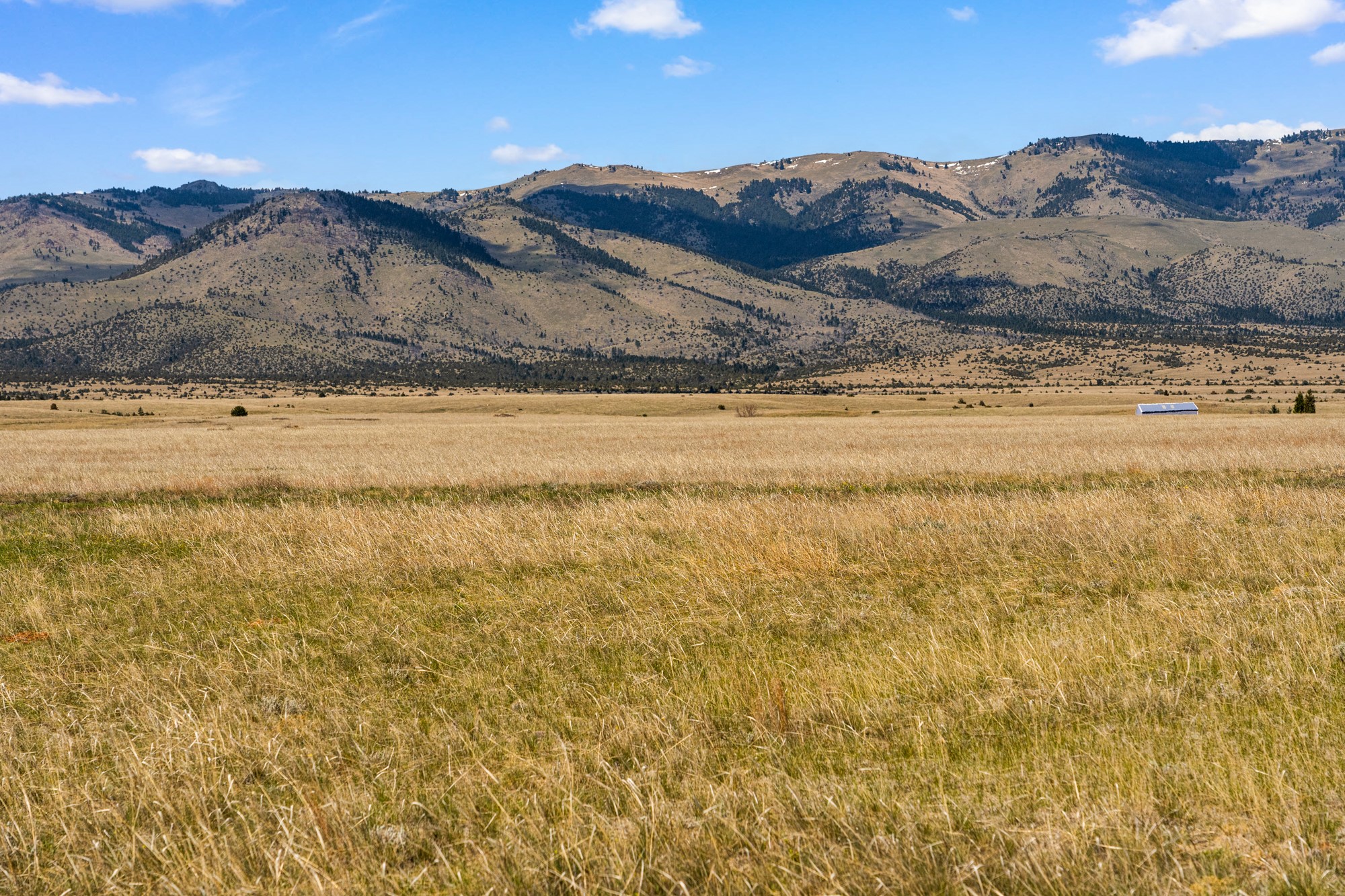 Tbd Lot 2a-2b Nez Perce Trail Property Photo 1