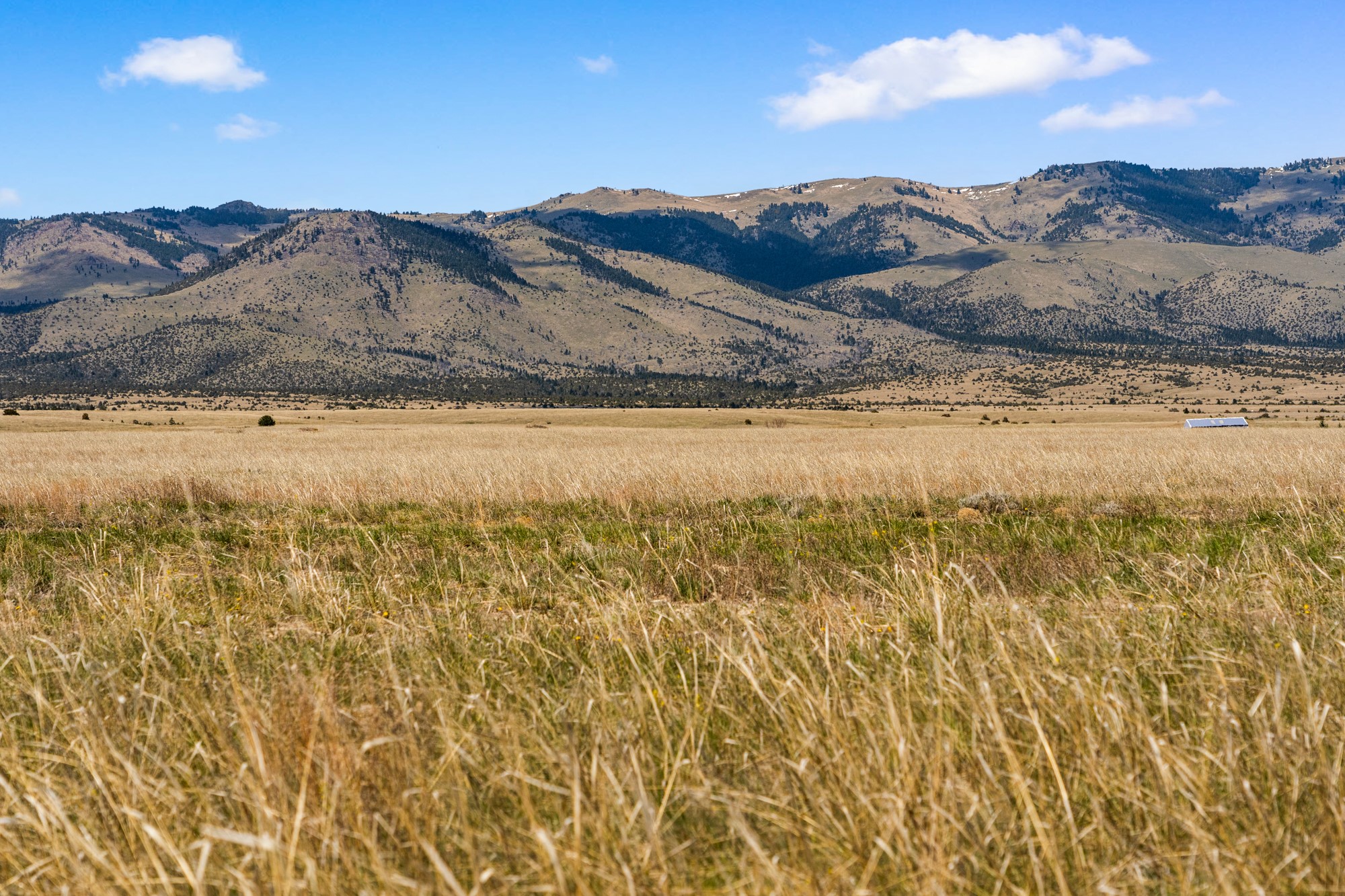 Tbd Lot 2a-2b Nez Perce Trail Property Photo 19