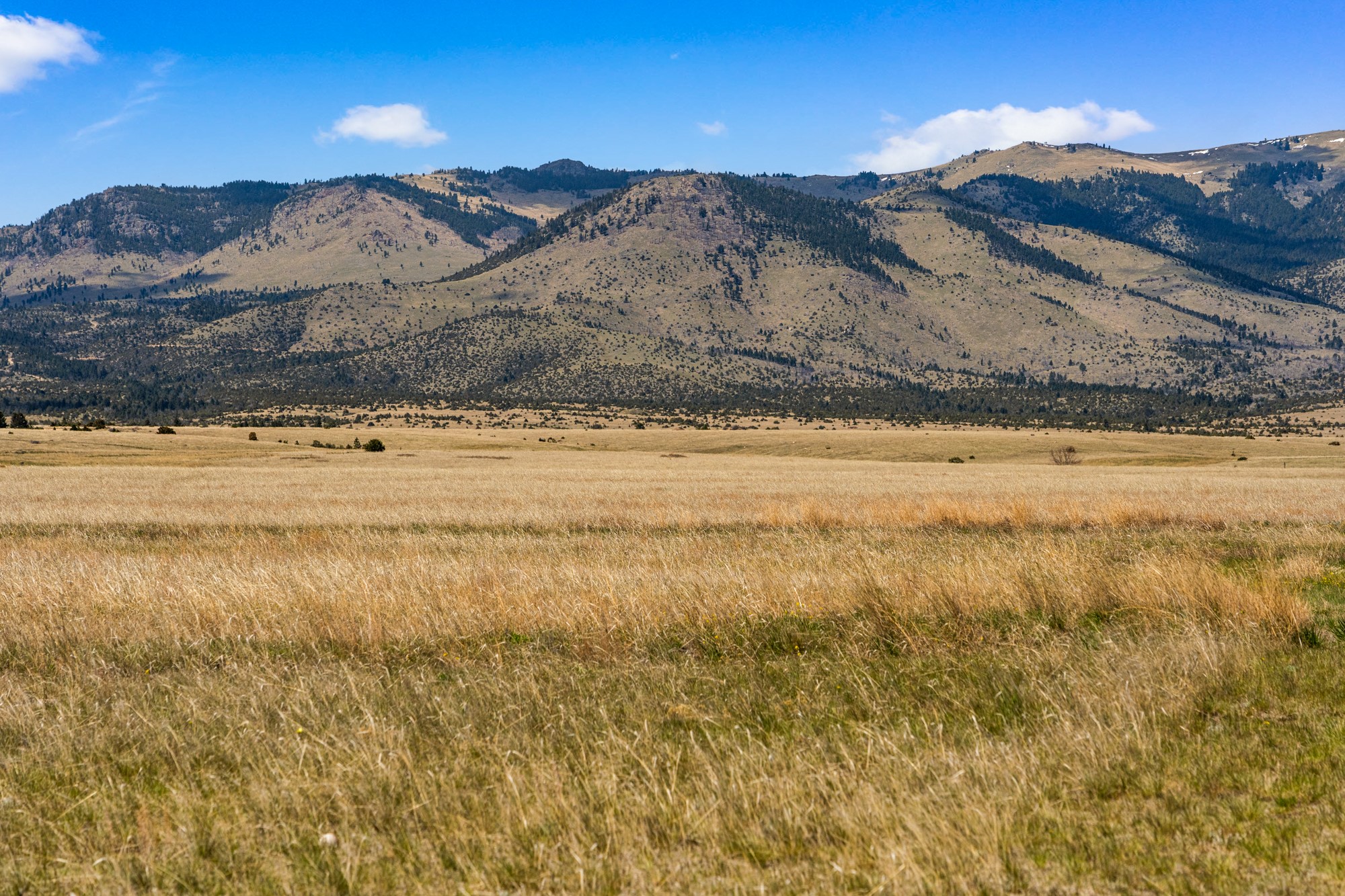 Tbd Lot 2a-2b Nez Perce Trail Property Photo 34