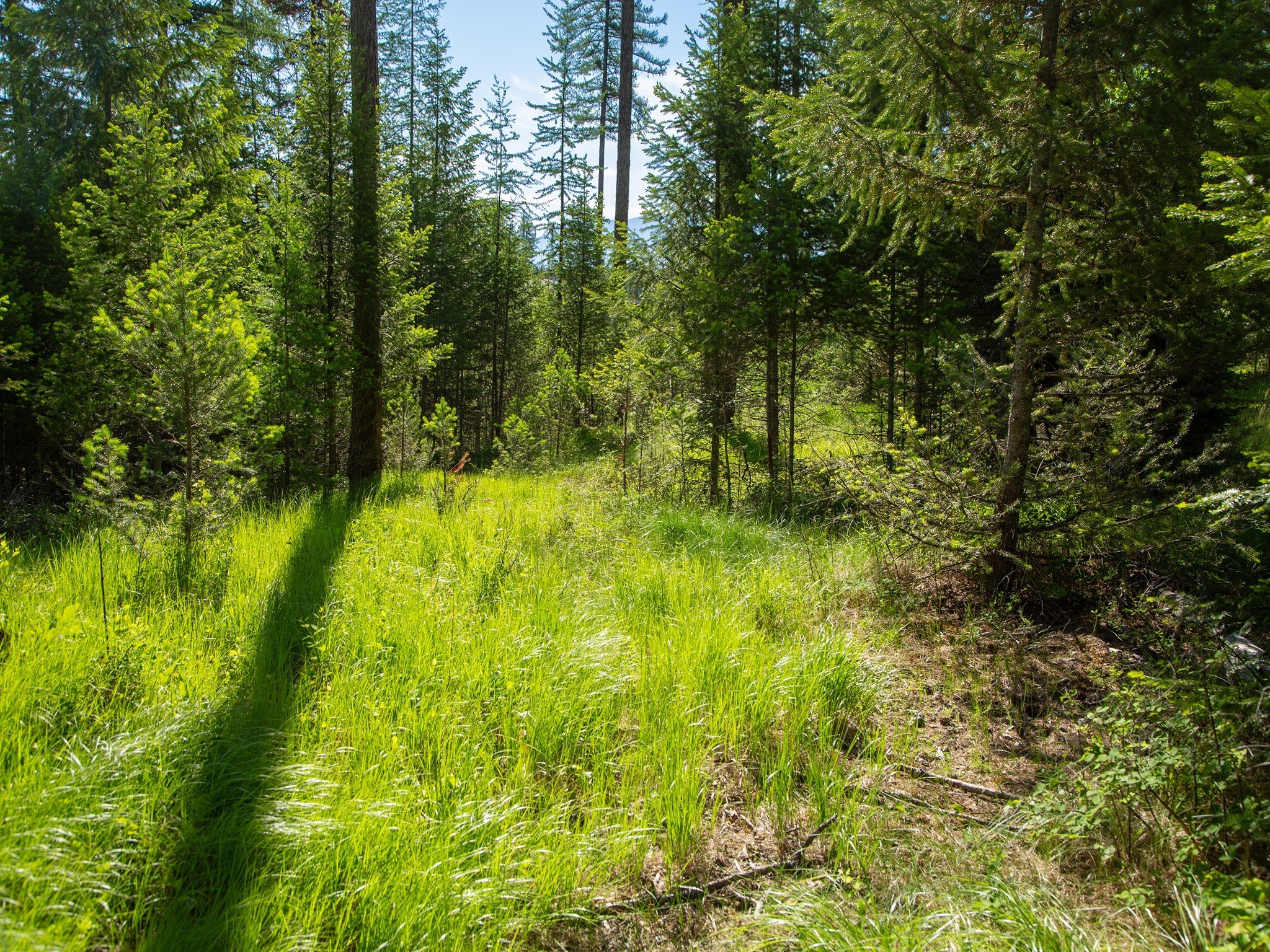 308 Haugen Heights Property Photo 13