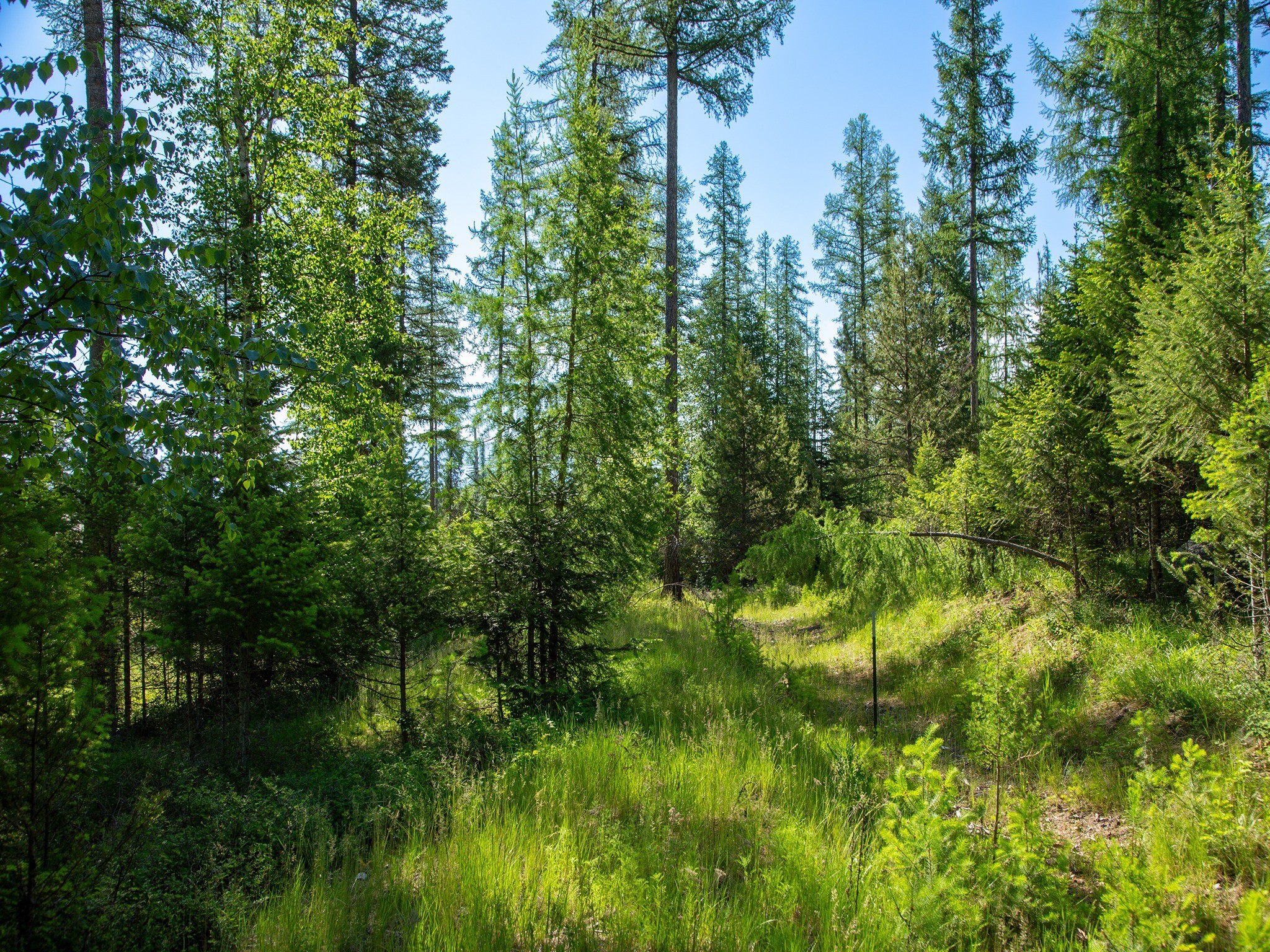 308 Haugen Heights Property Photo 14