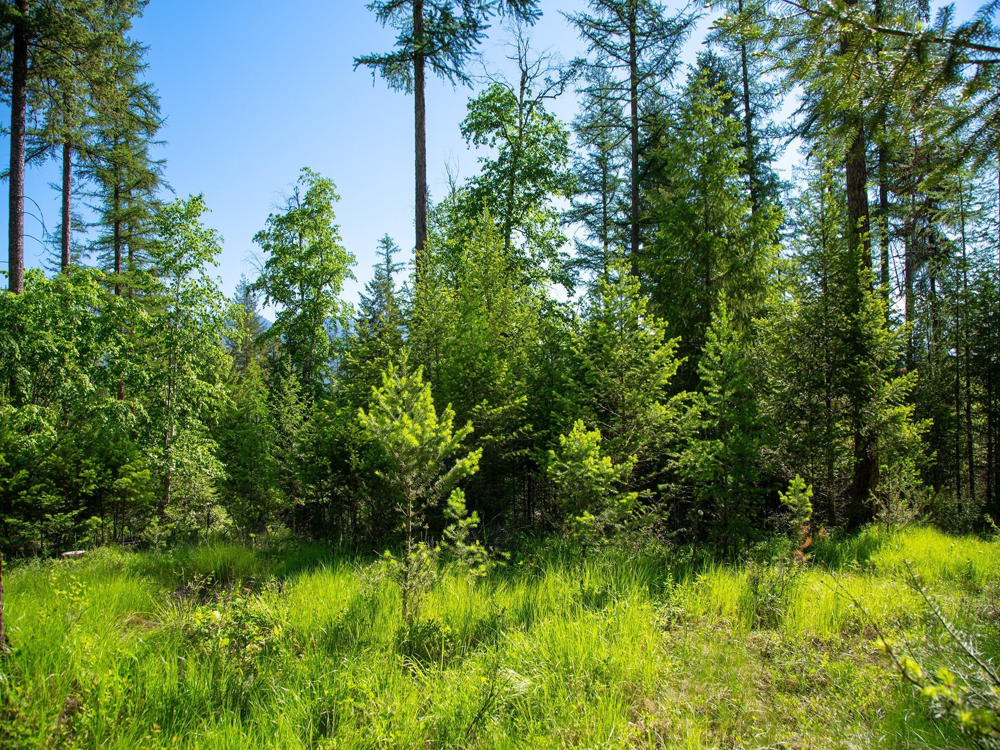 308 Haugen Heights Property Photo 15