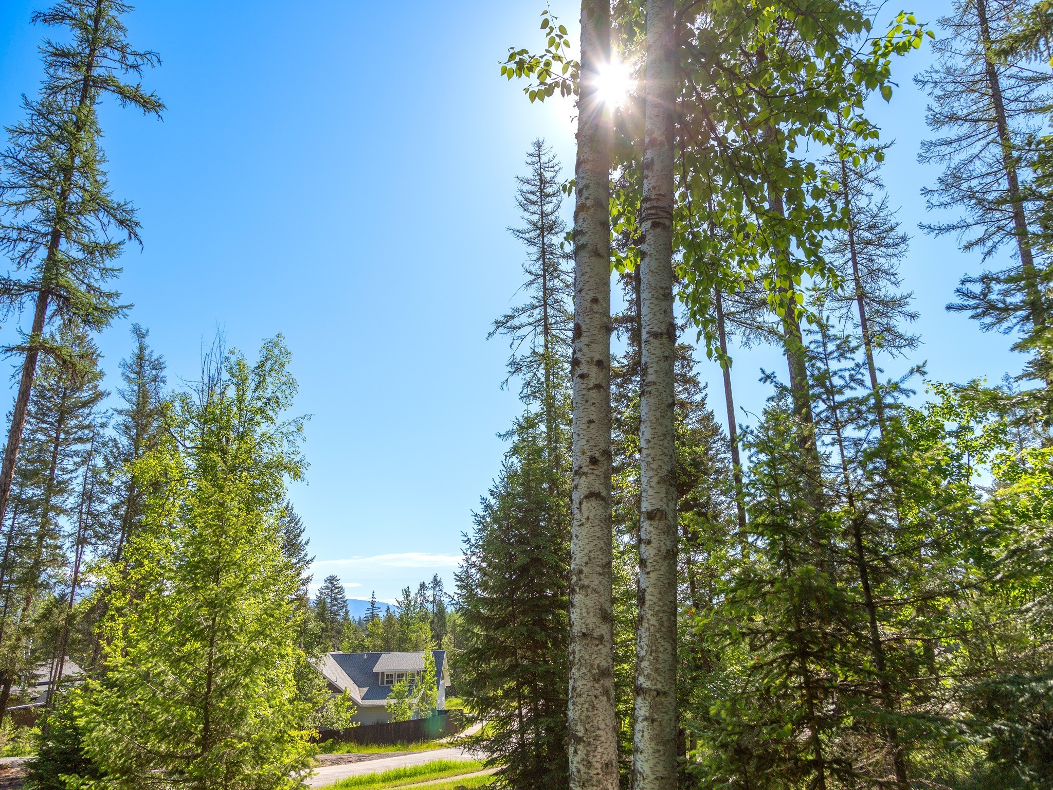 308 Haugen Heights Property Photo 17