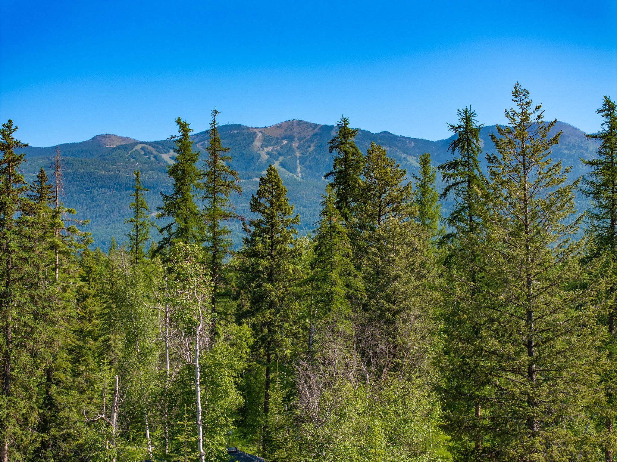 308 Haugen Heights Property Photo 32