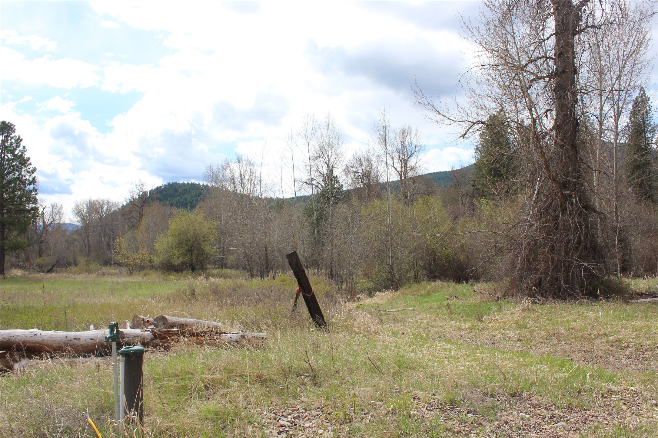 21369 Ninemile Road Property Photo 24