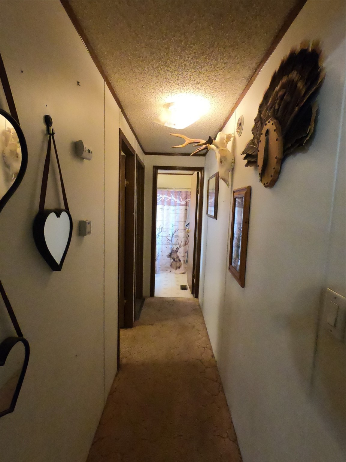 409 N Surrey Street Property Photo 15