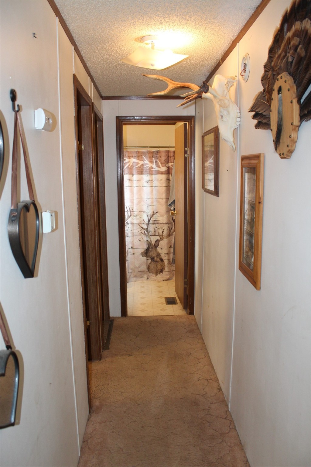 409 N Surrey Street Property Photo 29