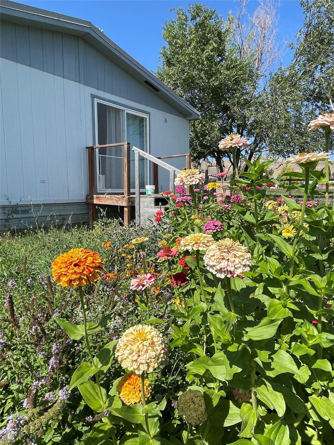 125 Hot Springs Road Property Photo 33