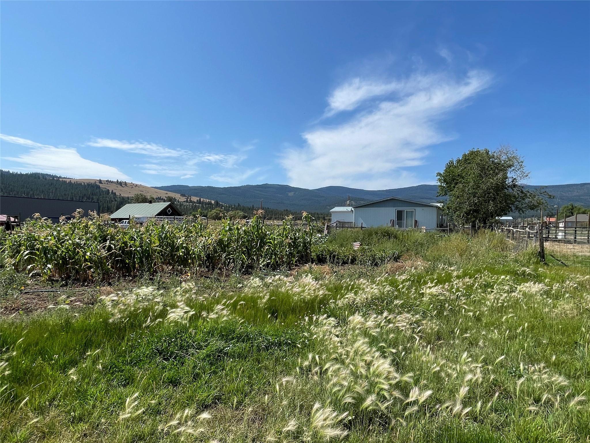 125 Hot Springs Road Property Photo 34