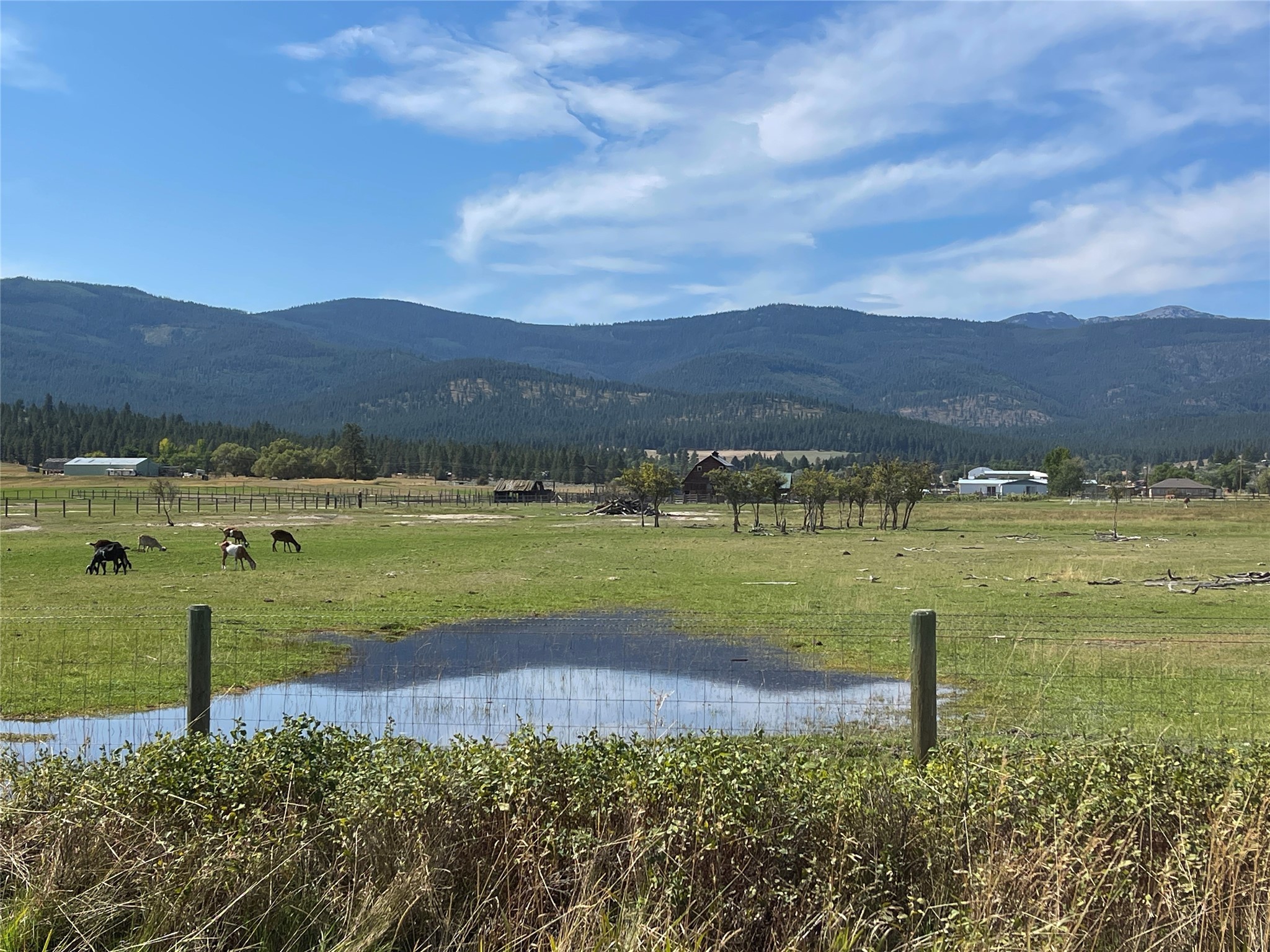 125 Hot Springs Road Property Photo 47