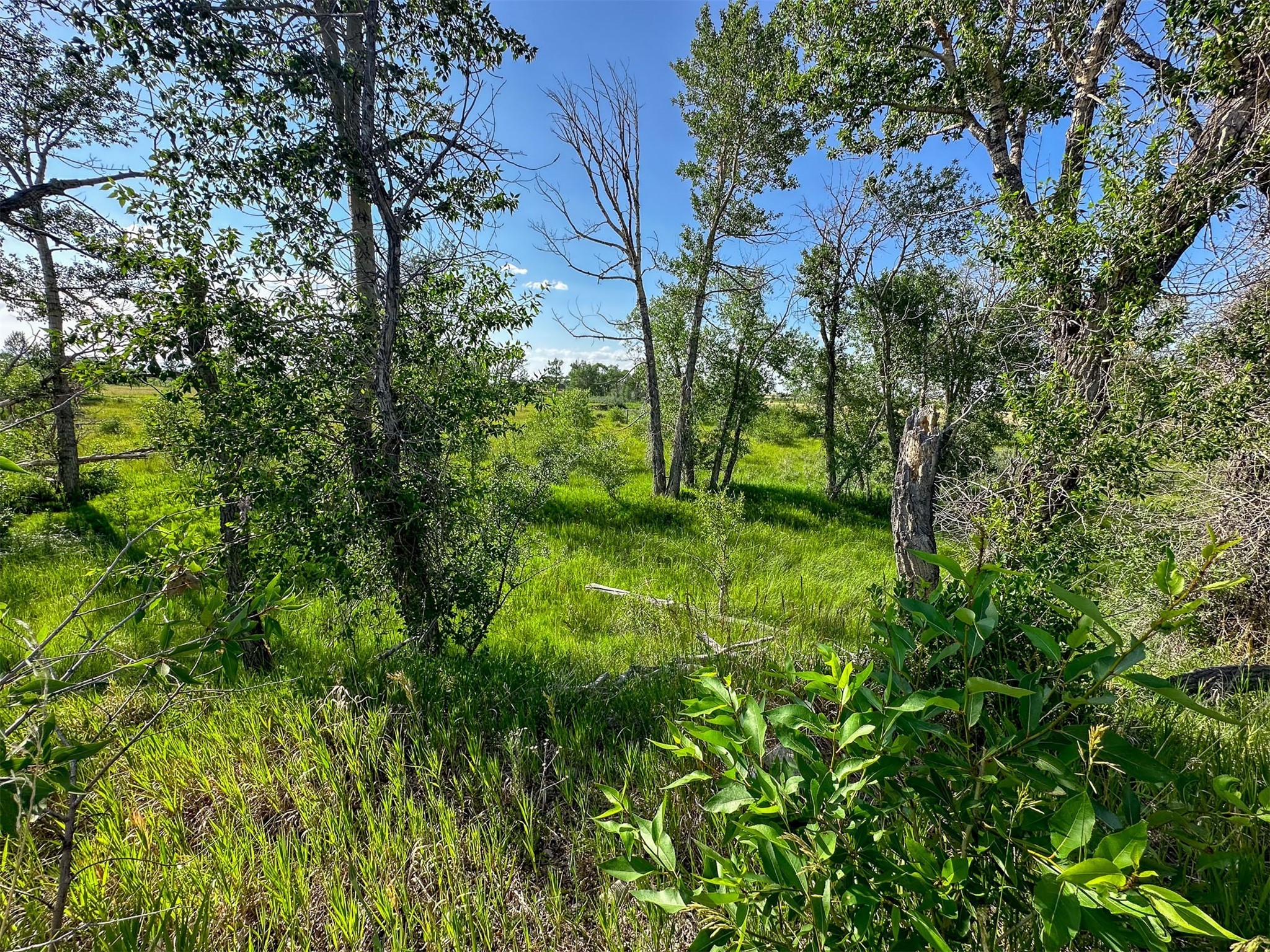 308 Dupuyer Creek Road Property Photo 4