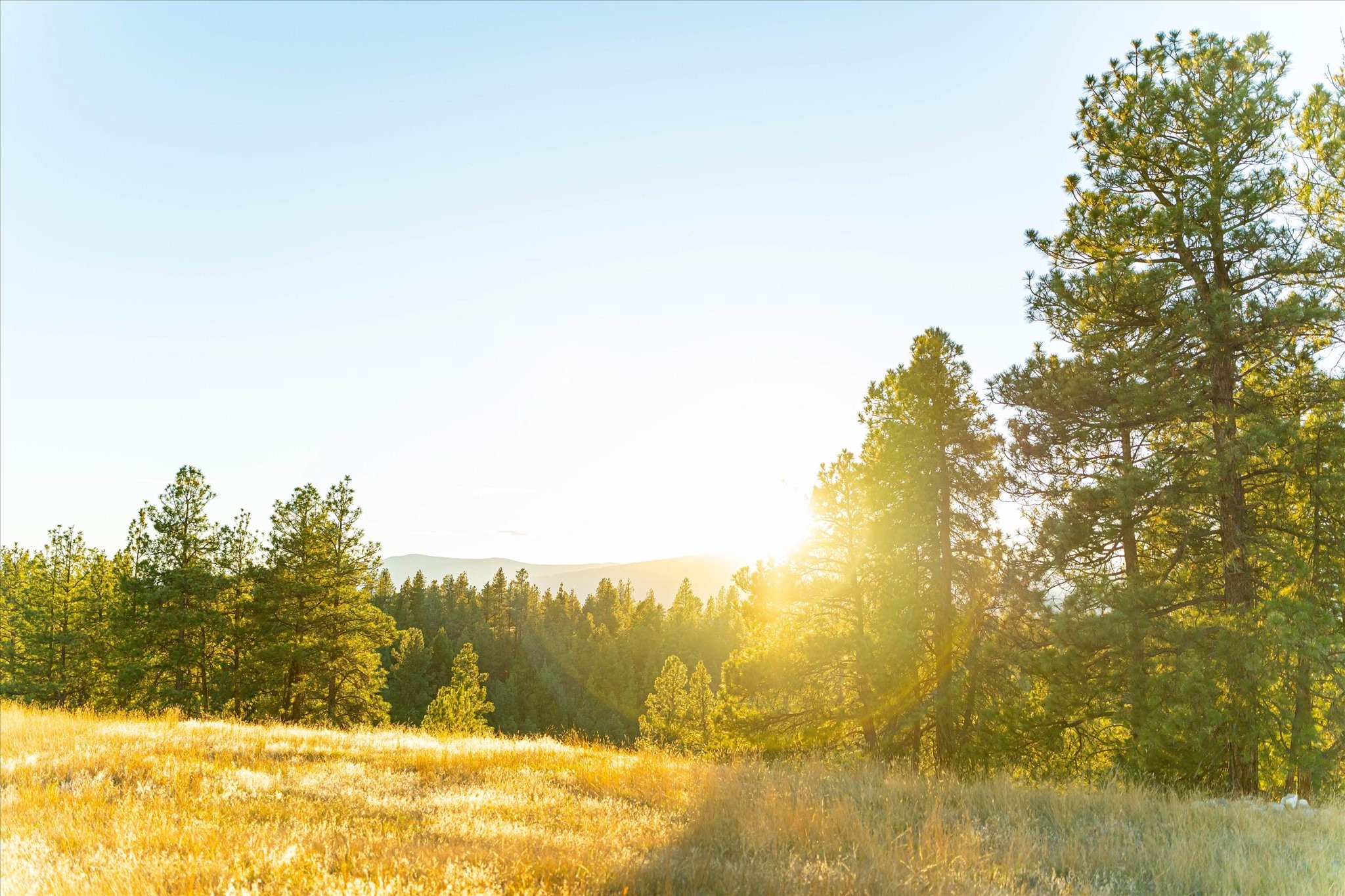 739 Paradise Loop Lot 10 Property Photo 12