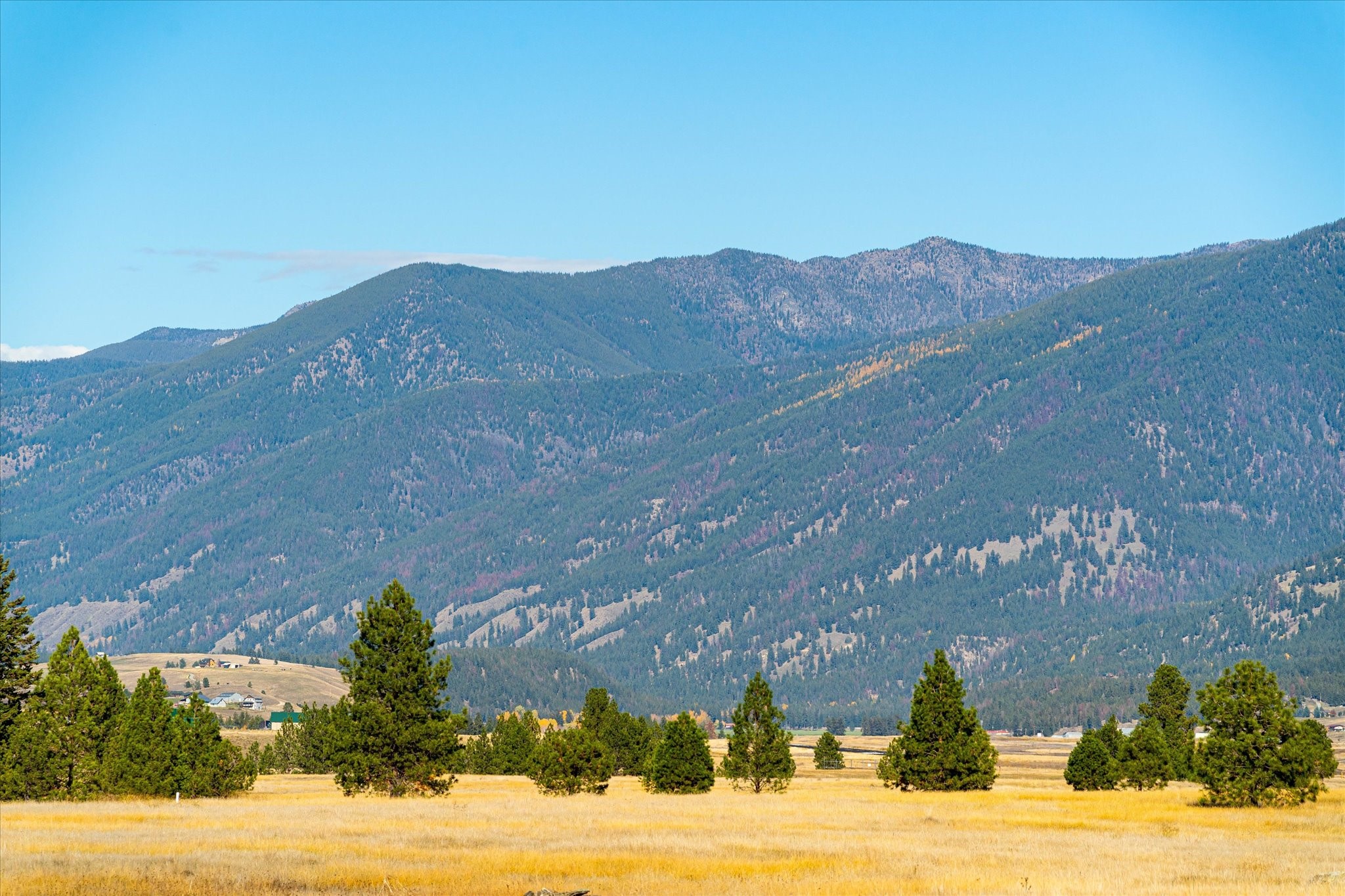 542 Paradise Loop Lot 7 Property Photo 18