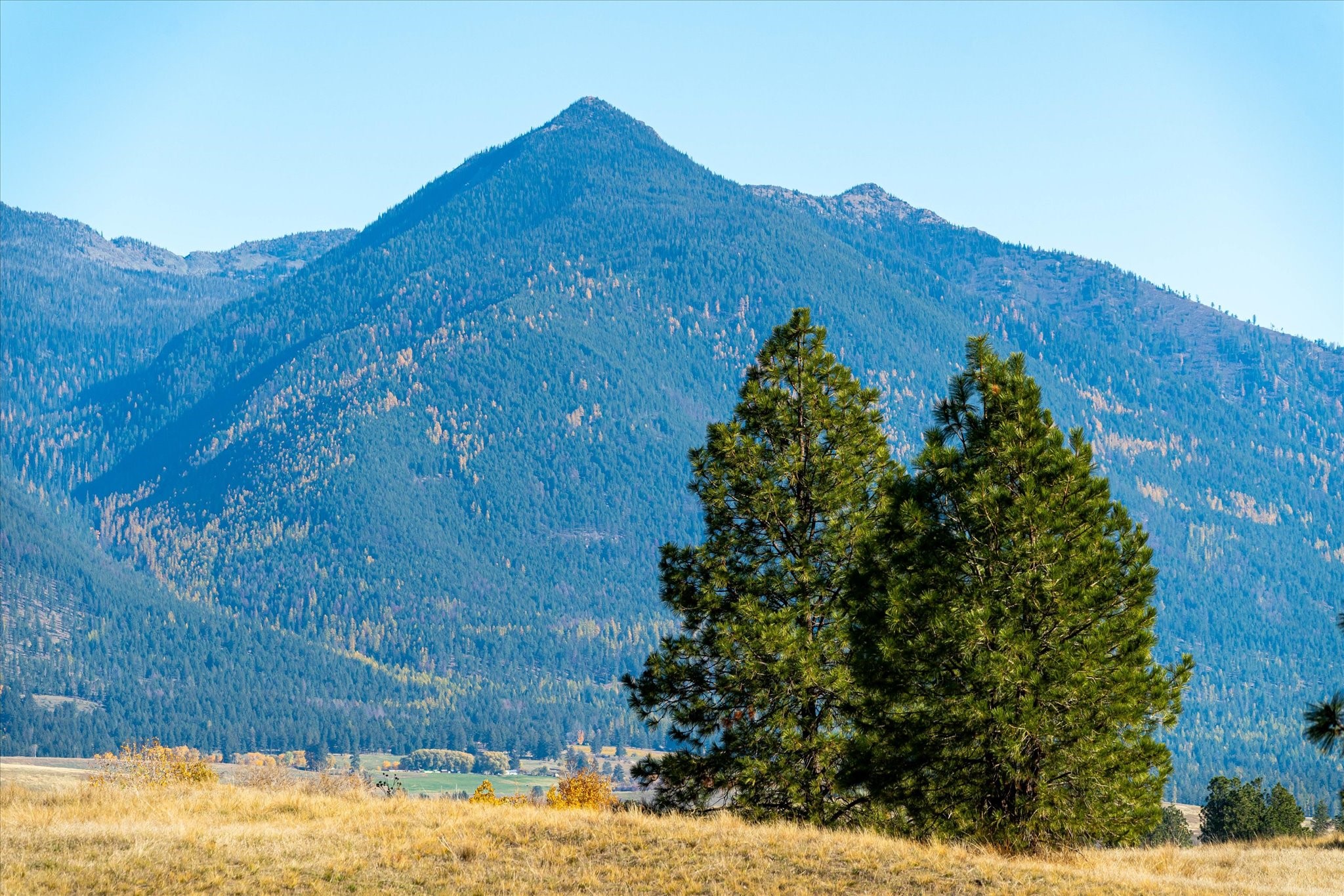 542 Paradise Loop Lot 7 Property Photo 20