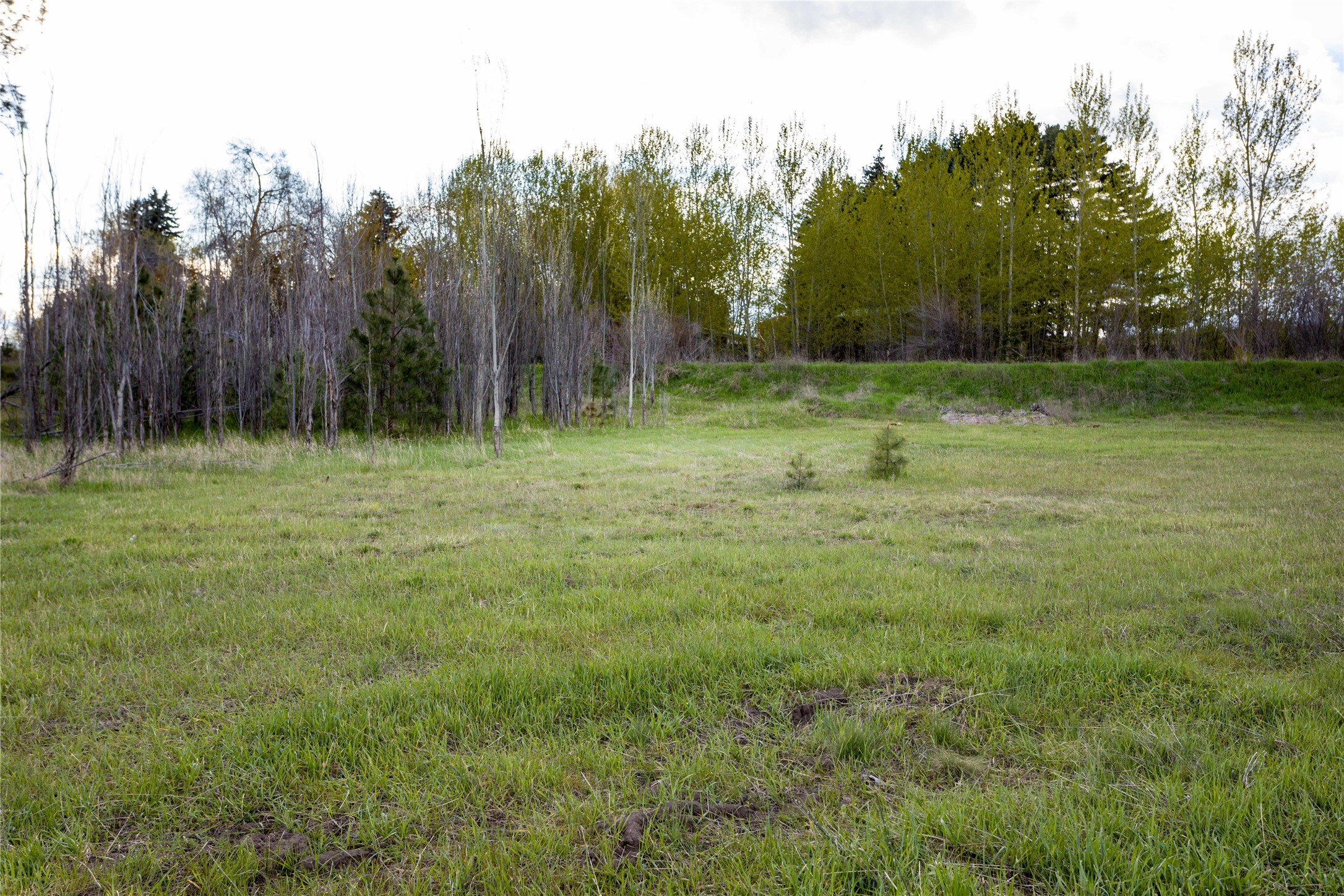 37599 North Commerce Lane Property Photo 29