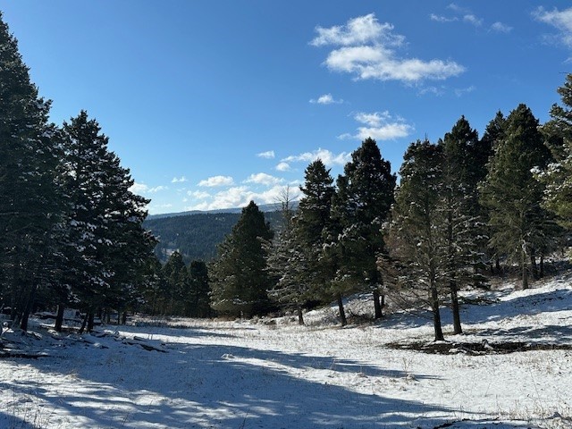 14850 Pony Creek Road Property Photo 2