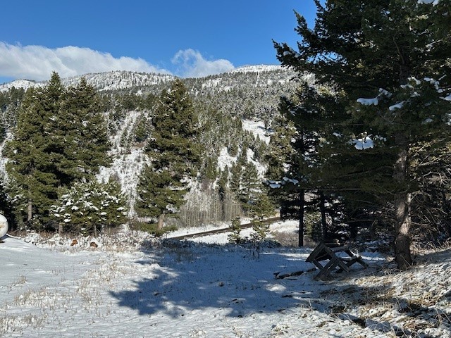 14850 Pony Creek Road Property Photo 3