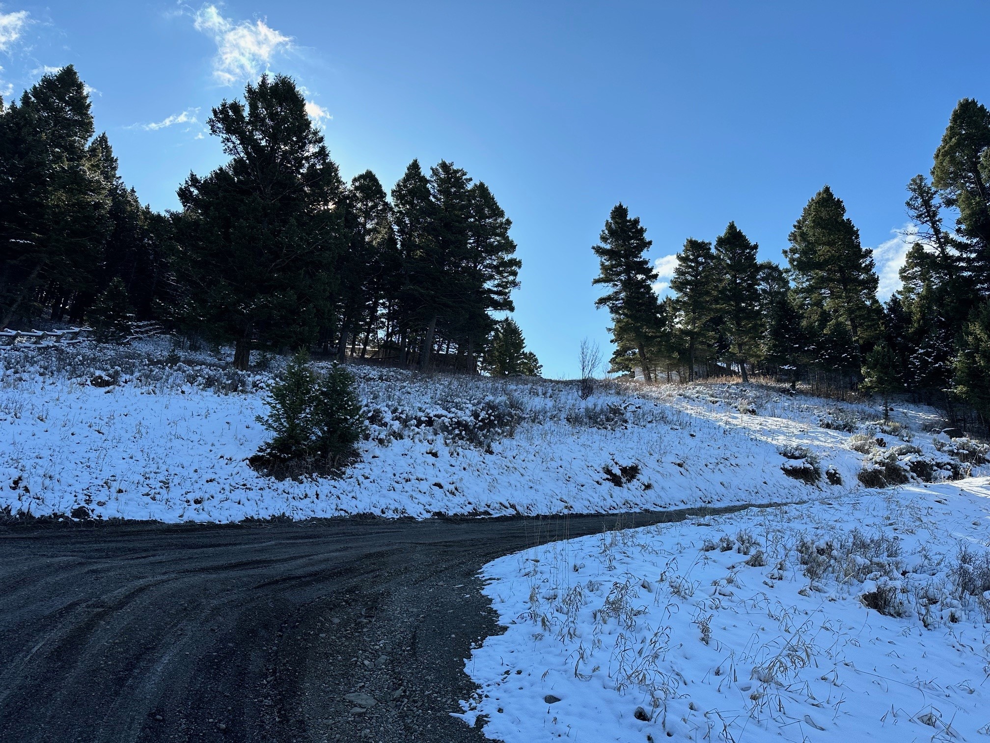 14850 Pony Creek Road Property Photo 9