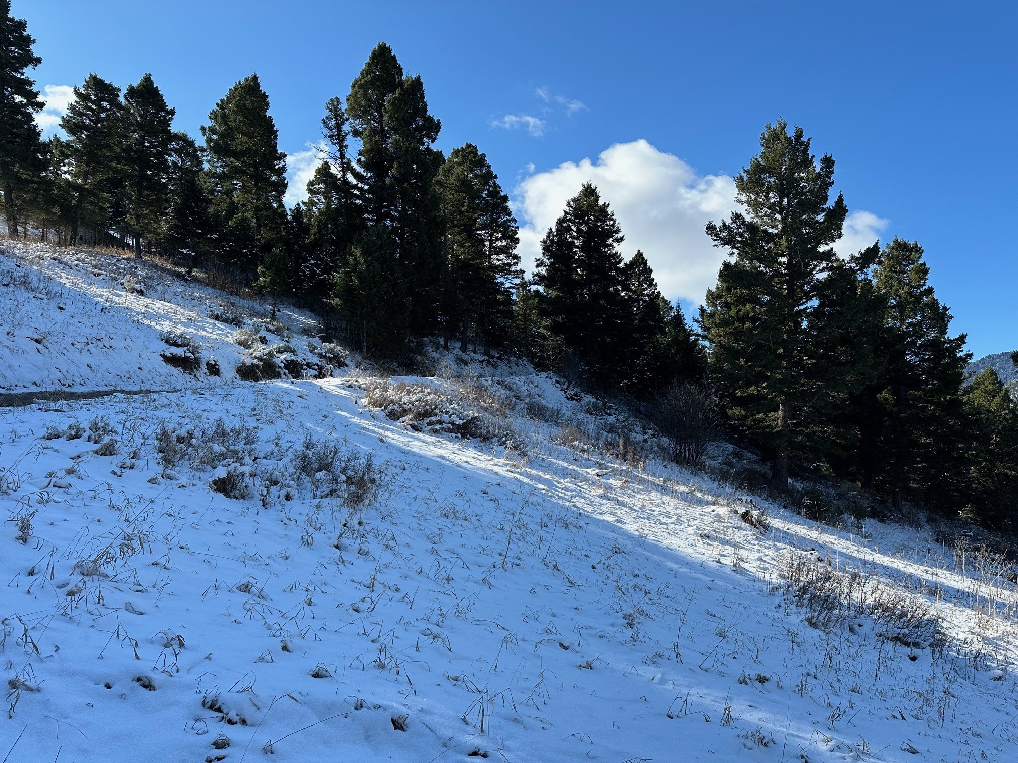 14850 Pony Creek Road Property Photo 10