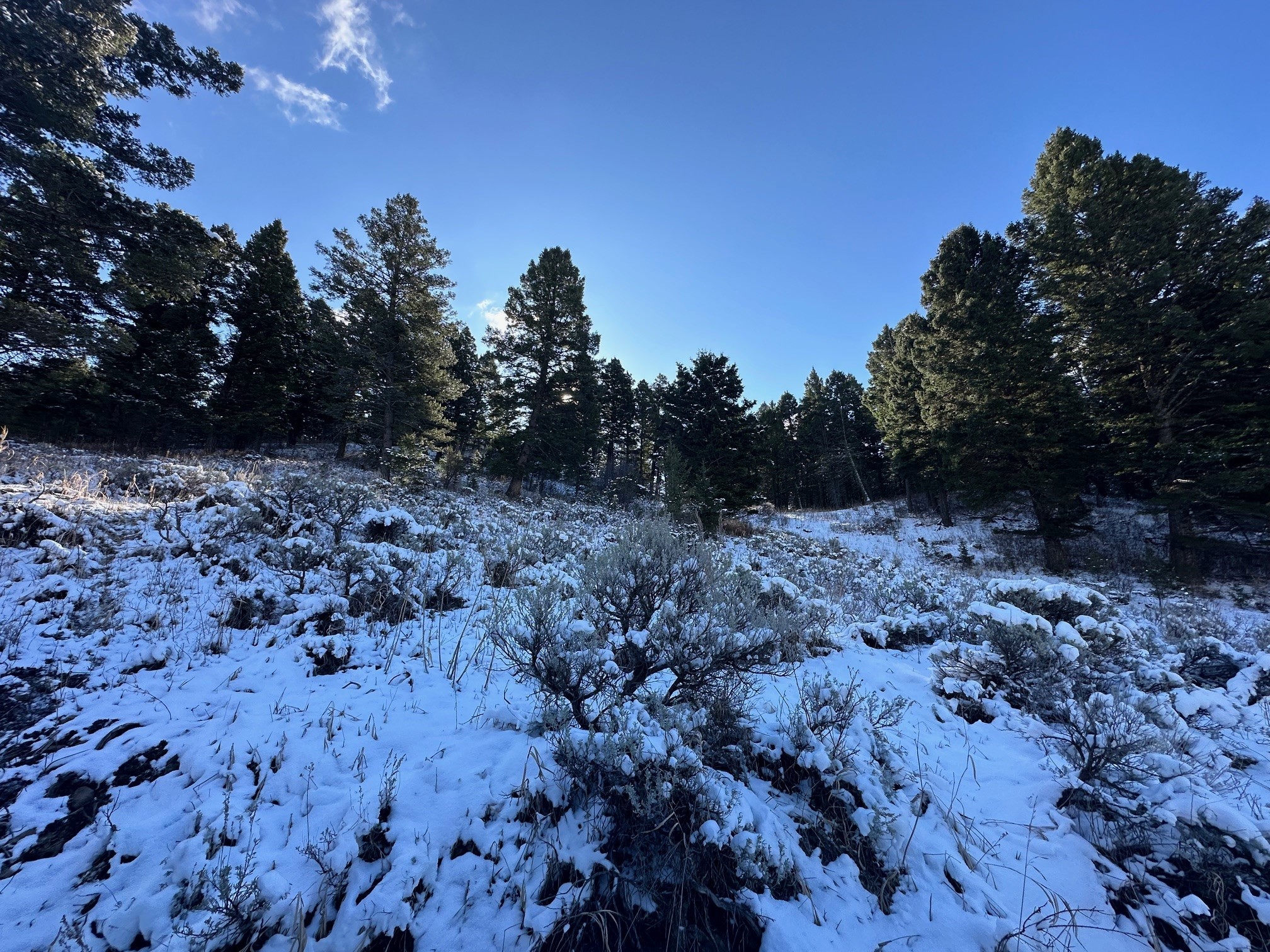 14850 Pony Creek Road Property Photo 11