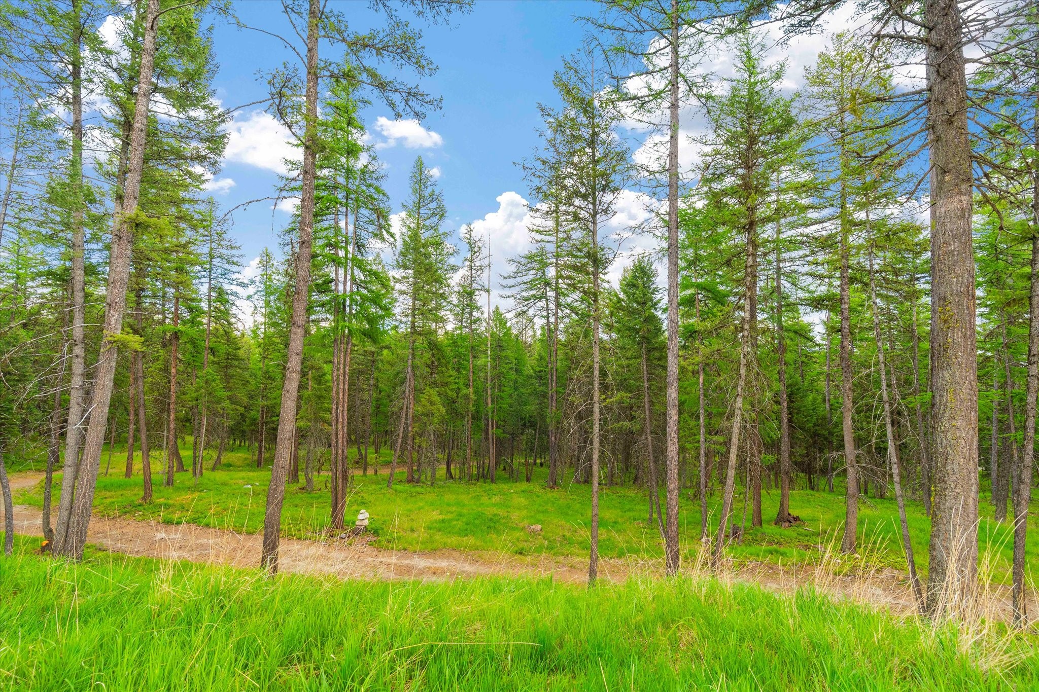 1624 Whitefish Ranch Road Property Photo 1