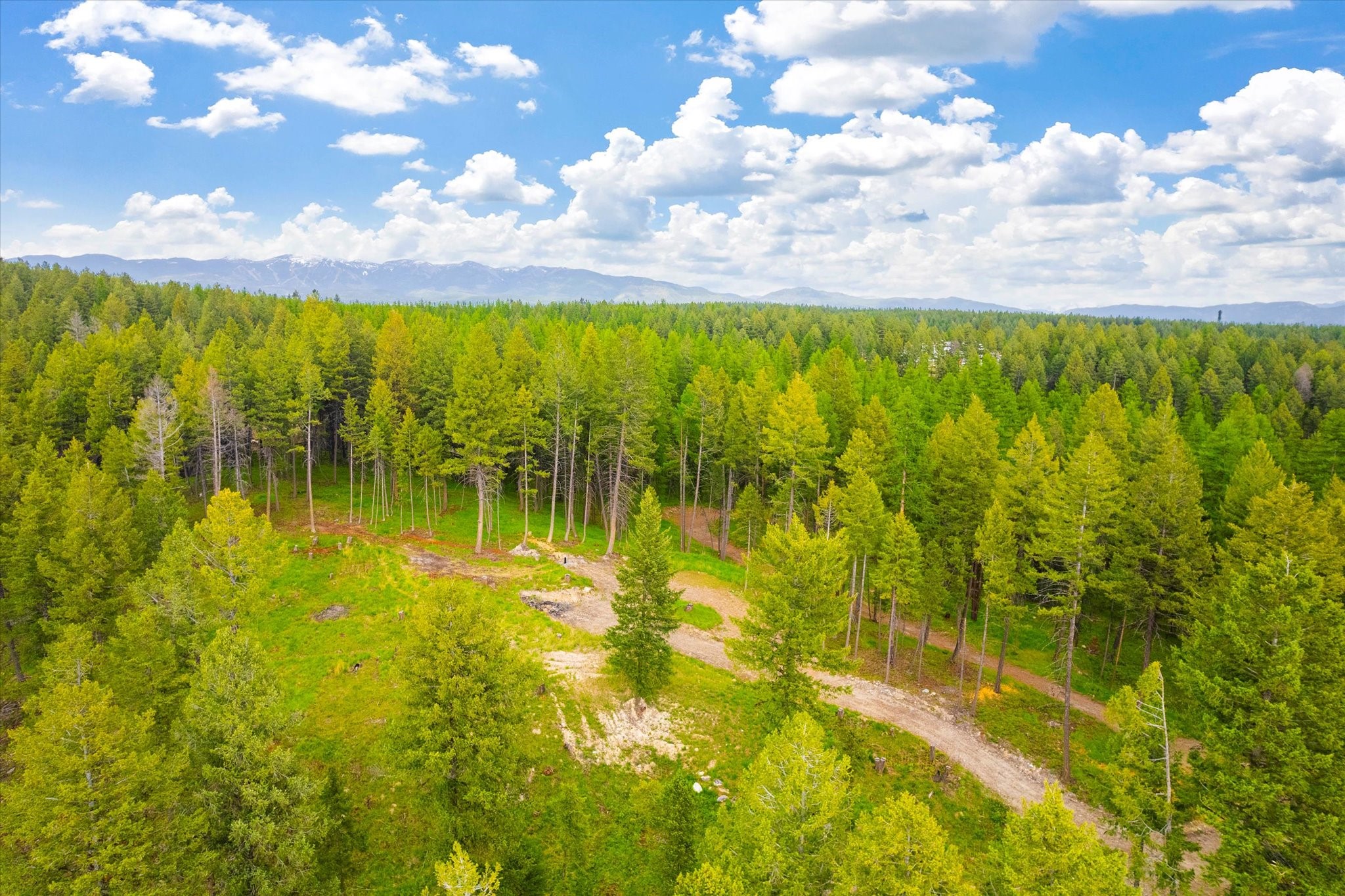 1624 Whitefish Ranch Road Property Photo 3
