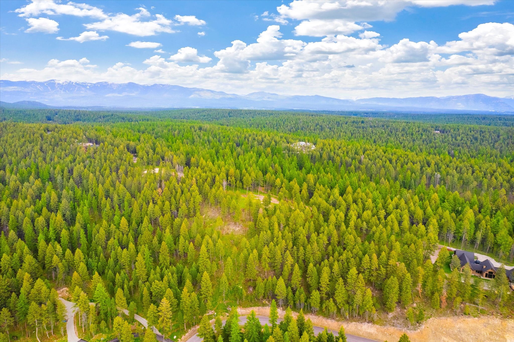 1624 Whitefish Ranch Road Property Photo 8