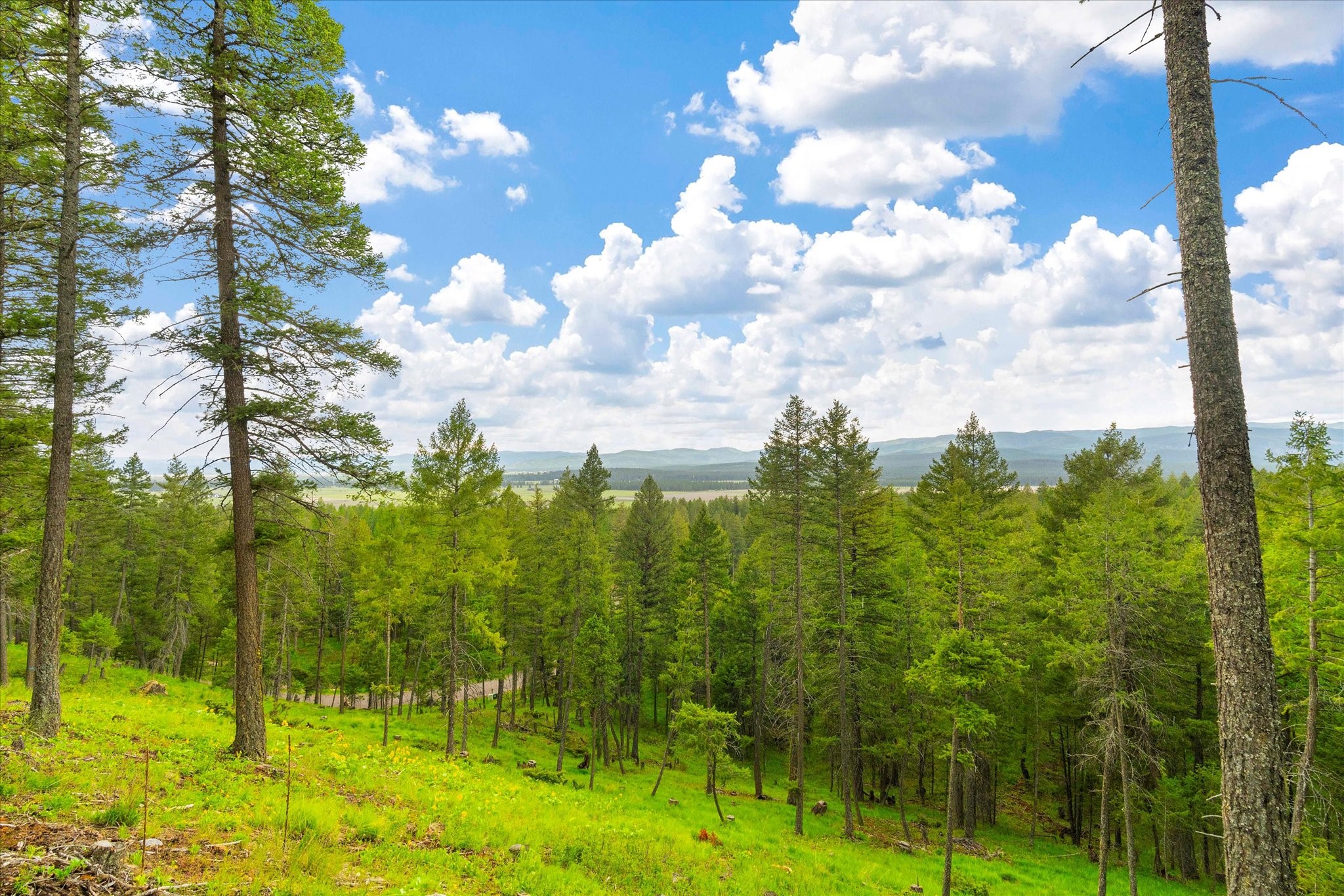 1624 Whitefish Ranch Road Property Photo 13