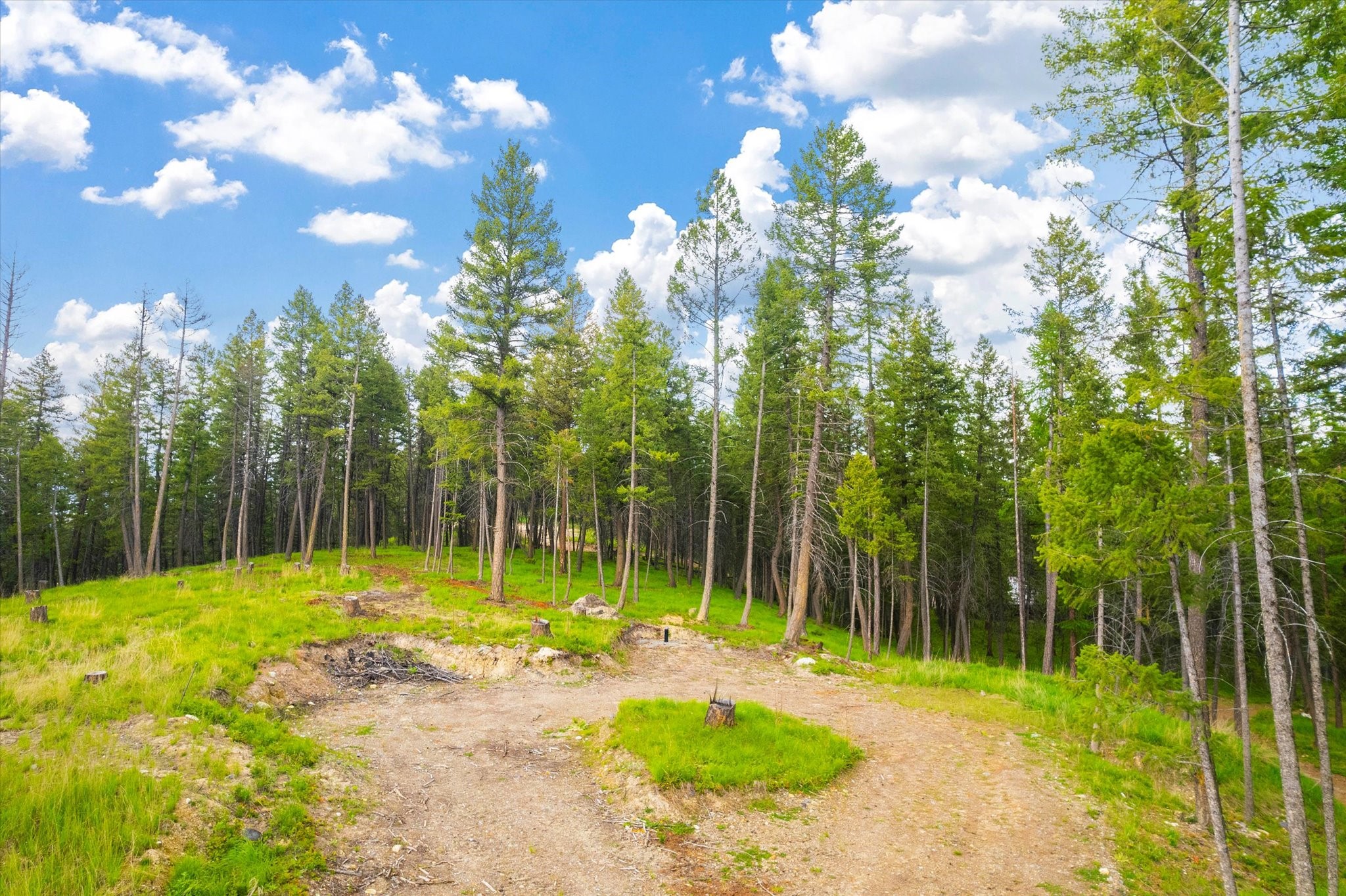 1624 Whitefish Ranch Road Property Photo 15