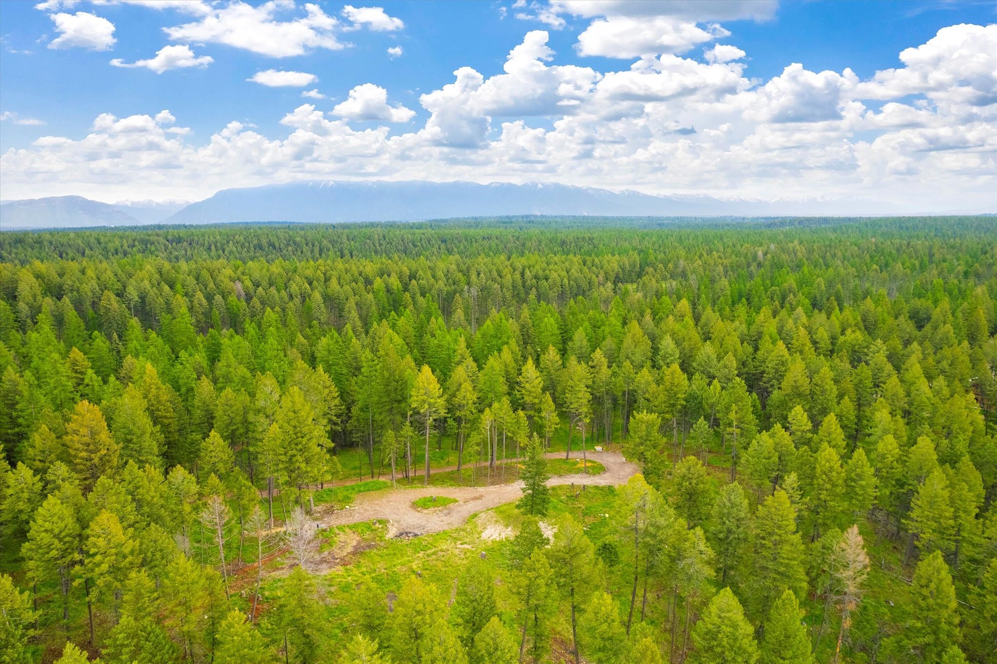1624 Whitefish Ranch Road Property Photo 17