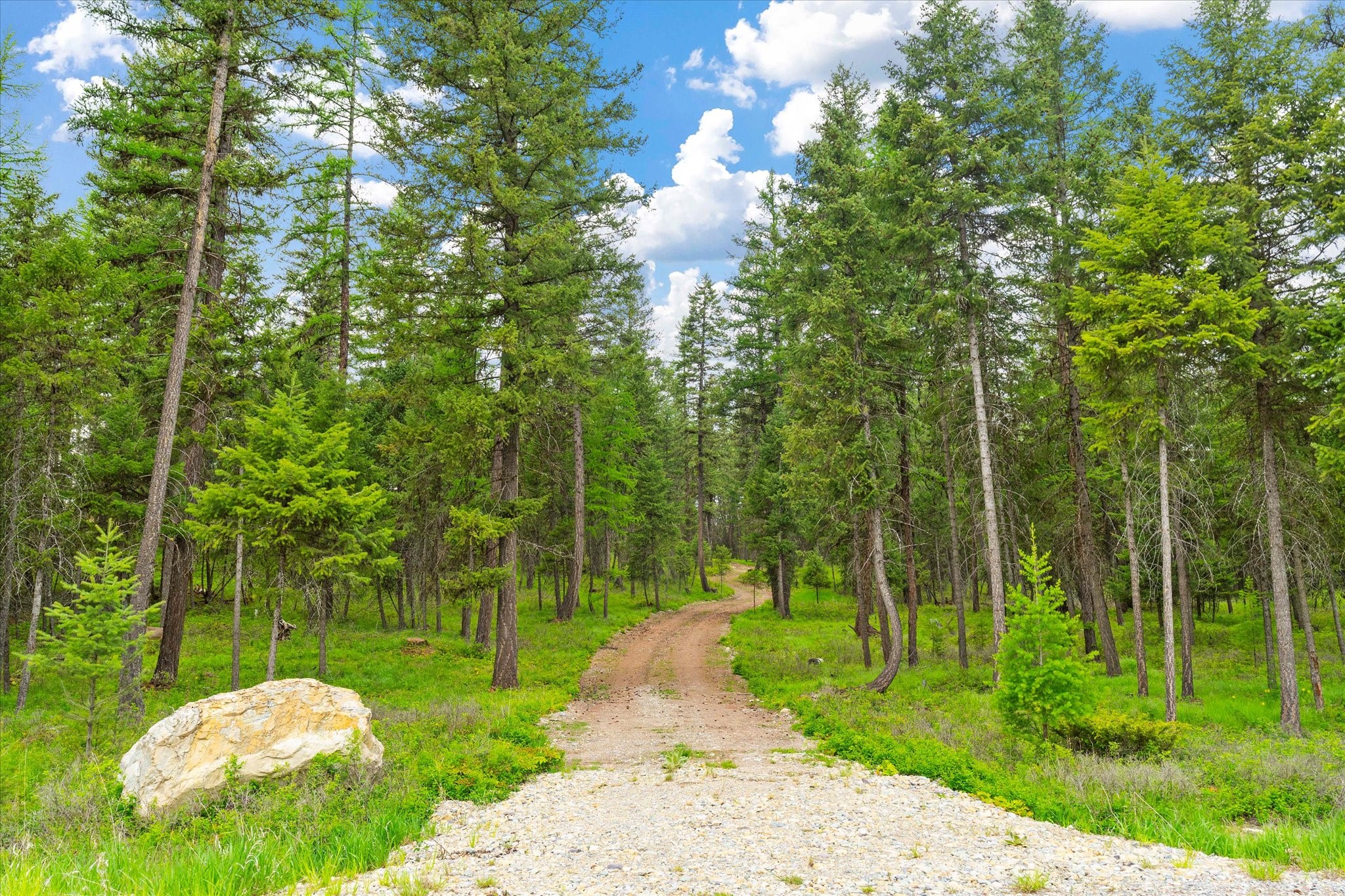 1624 Whitefish Ranch Road Property Photo 21