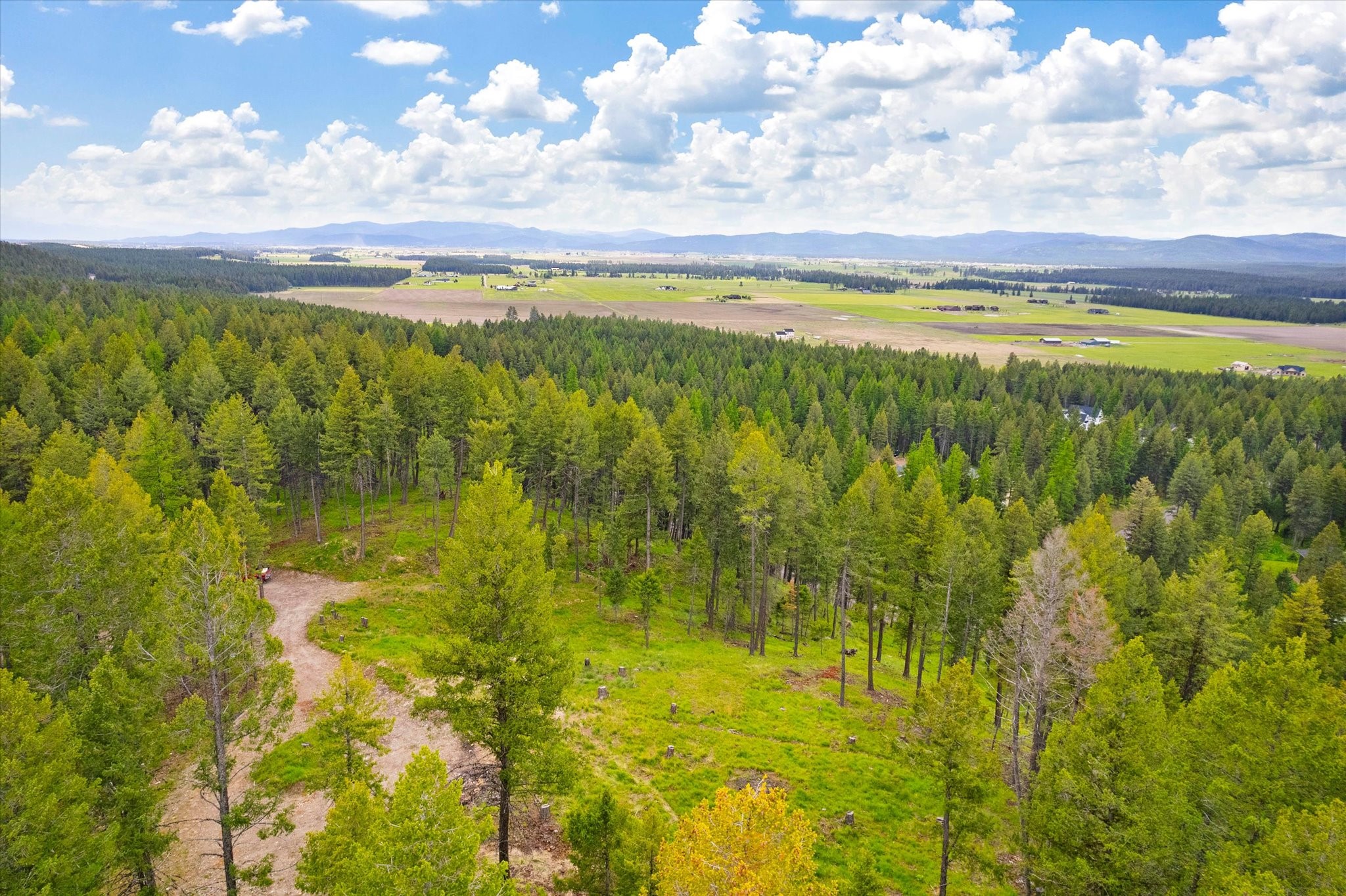1624 Whitefish Ranch Road Property Photo 22